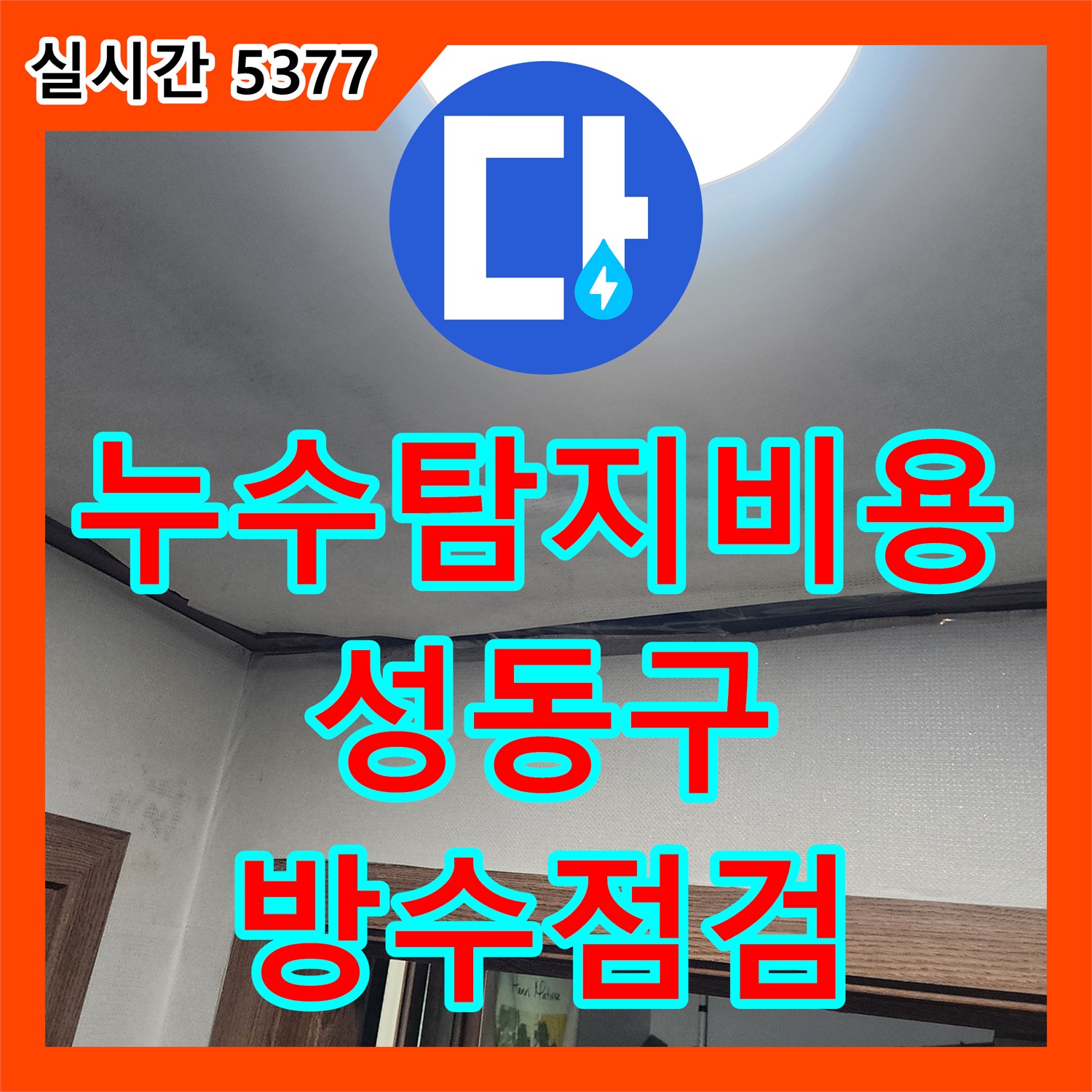 누수탐지비용 안내와 함께 서울 성동구 성수동2가 단독주택 2층 천장 누수의 원인을 정밀 진단합니다