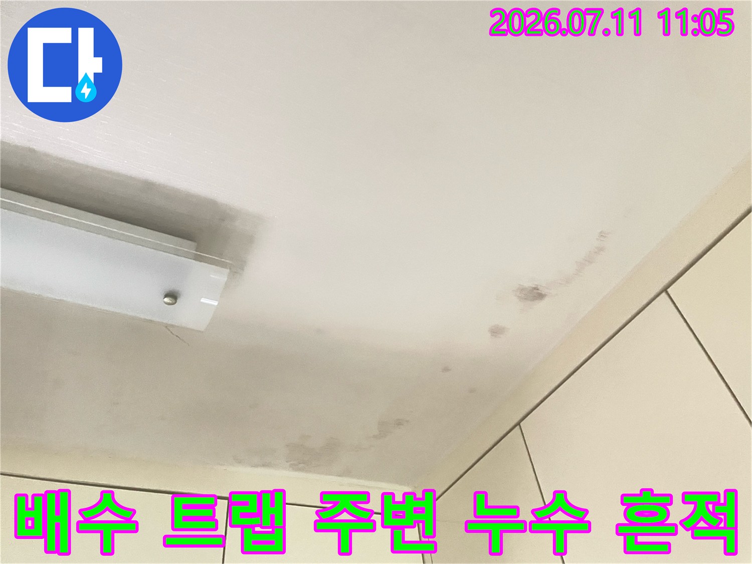 배수공사 전 배출 구역의 물 고임 및 변색 상태