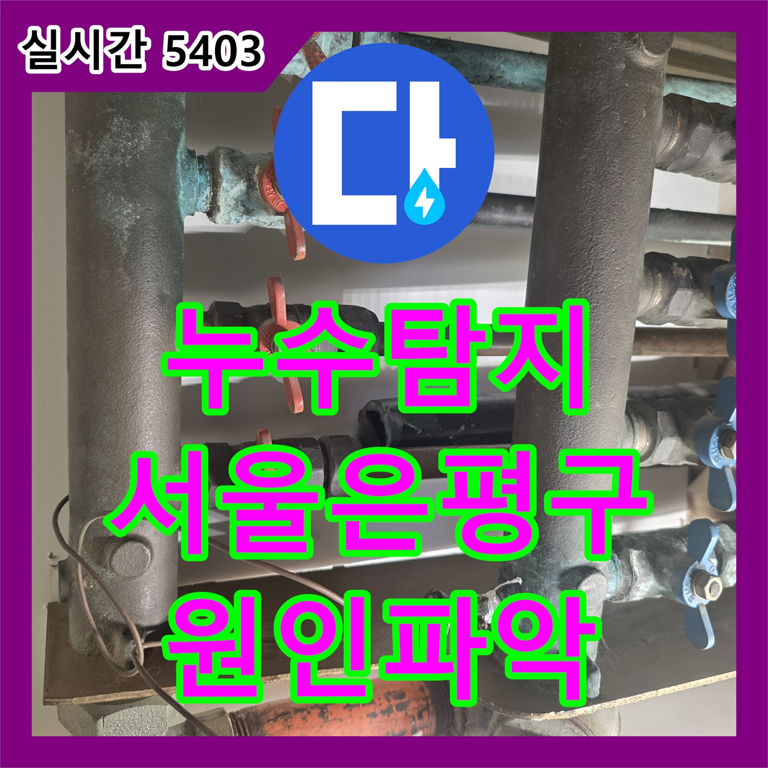 누수탐지 중앙난방 배관 결함으로 인한 아랫집 현관 천장 누수를 정밀하게 진단한 서울시 은평구 사례