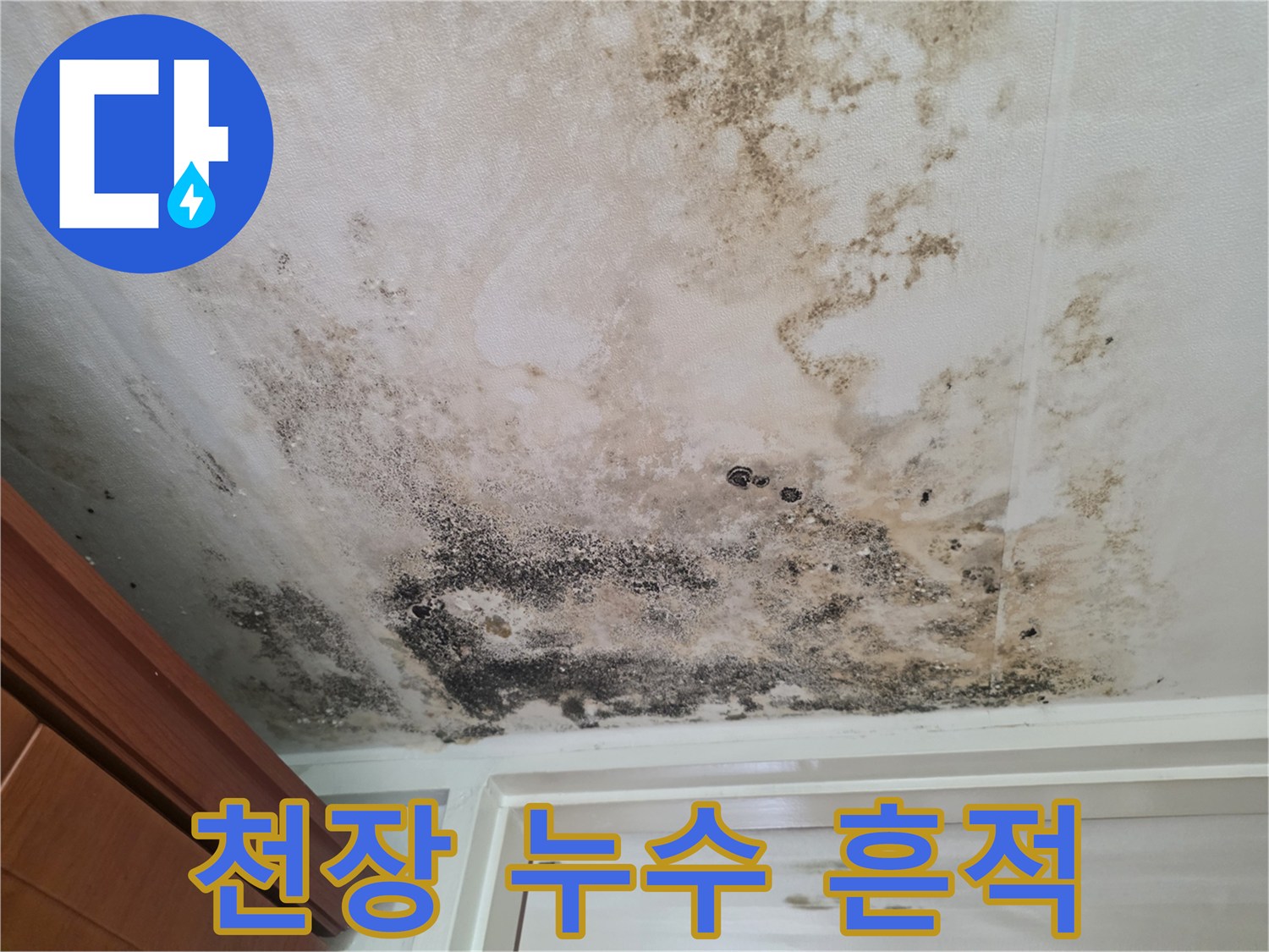 아파트 현관 천장-심한 물샘 흔적과 곰팡이 발생