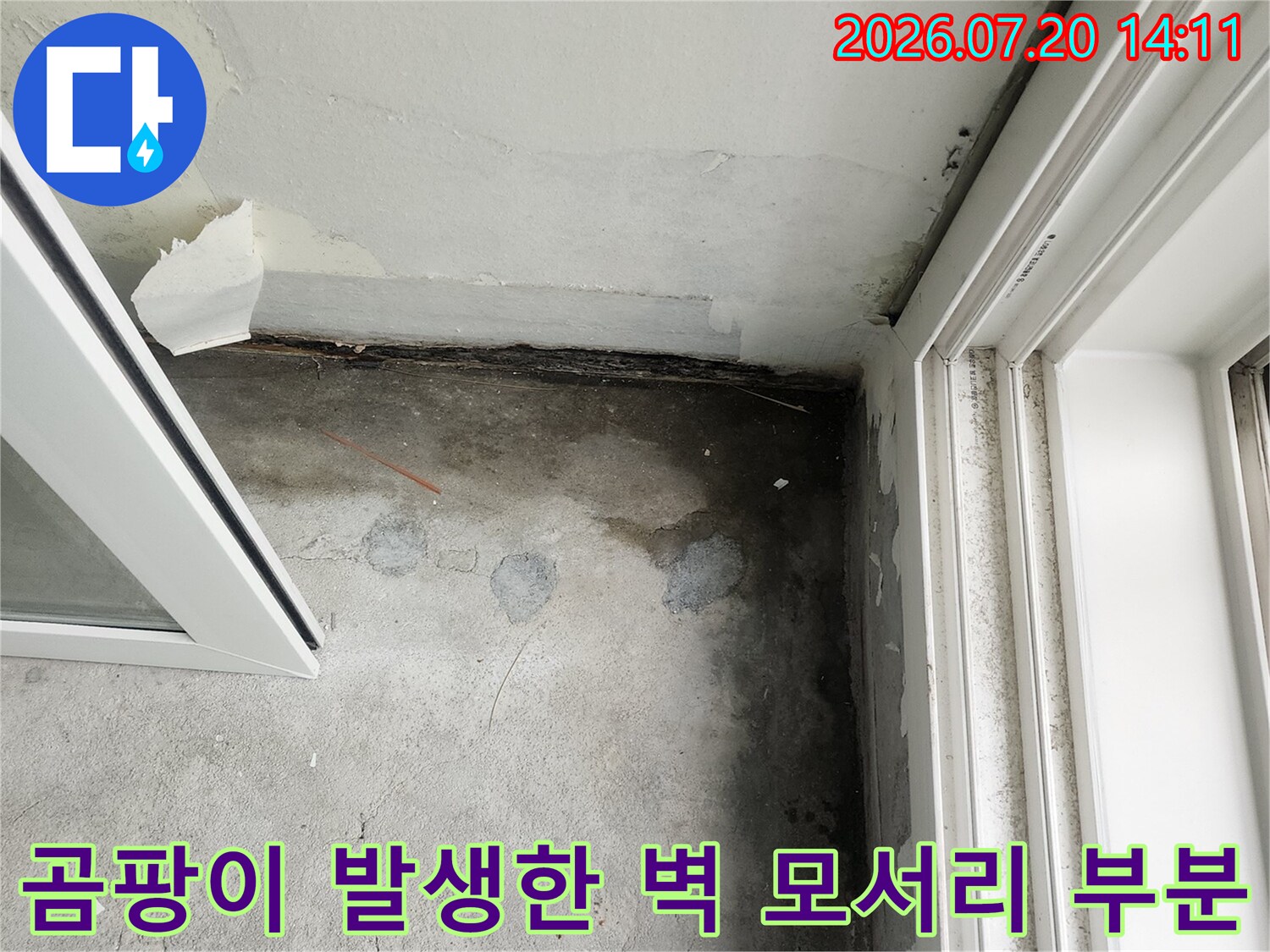벽면과 천장 경계 부위의 곰팡이 및 습기 오염 상태를 보여주는 사진