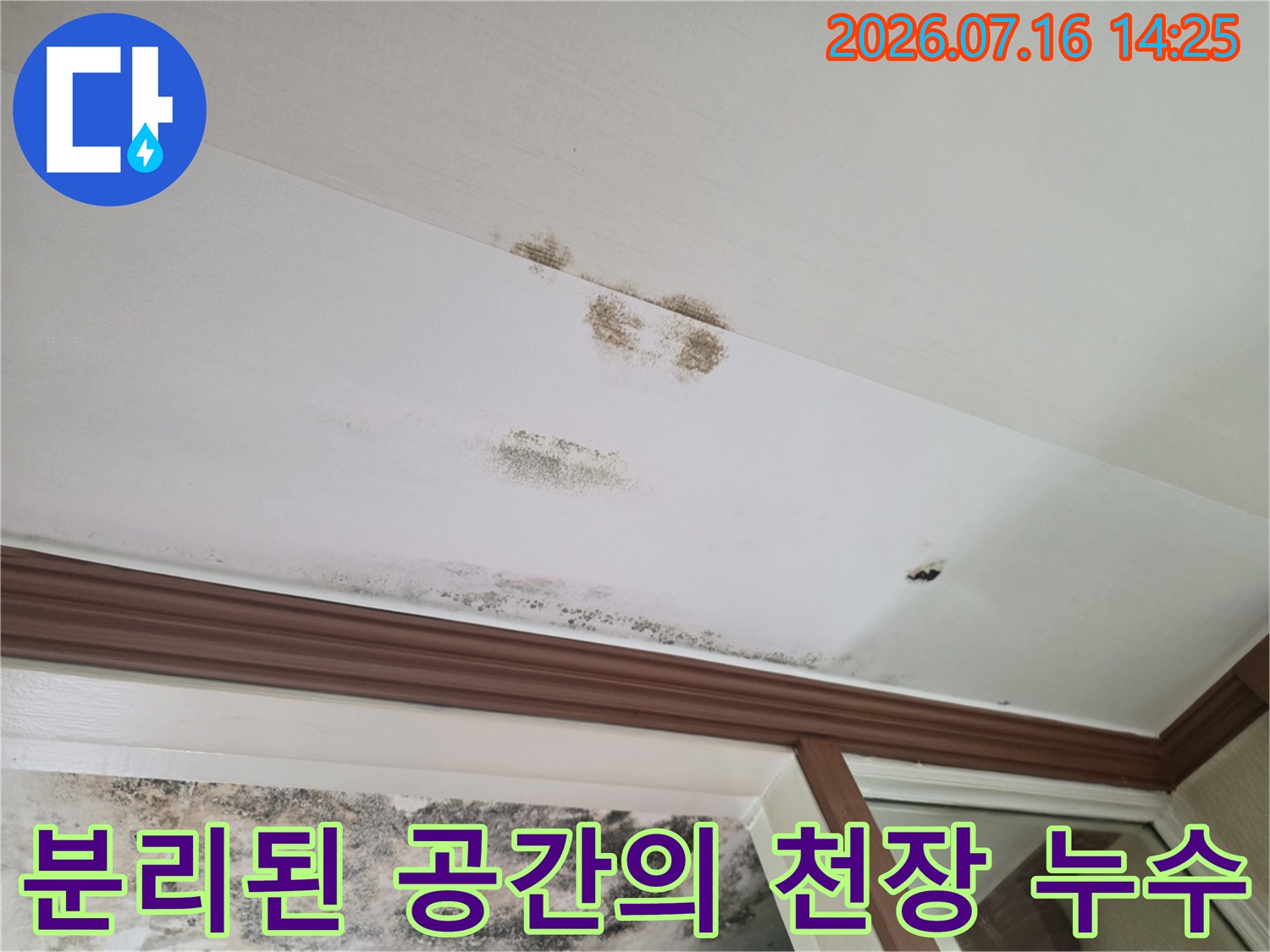 거실 천장과 벽면 경계부의 곰팡이 및 누수 얼룩 현장
