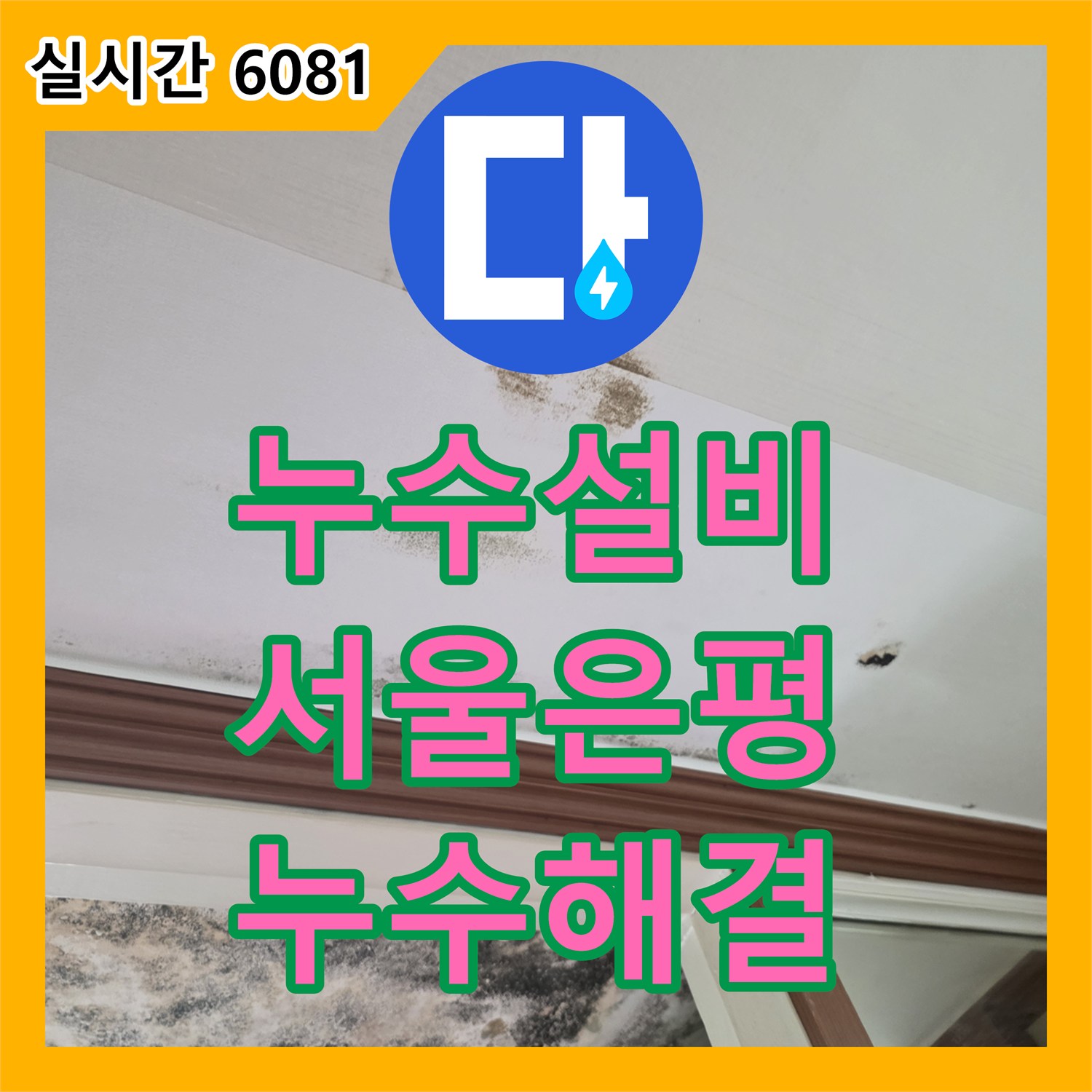 누수설비 난방 분배기 노후 부식으로 인한 천장 피해를 정밀 탐지와 교체로 해결한 서울 은평구 사례