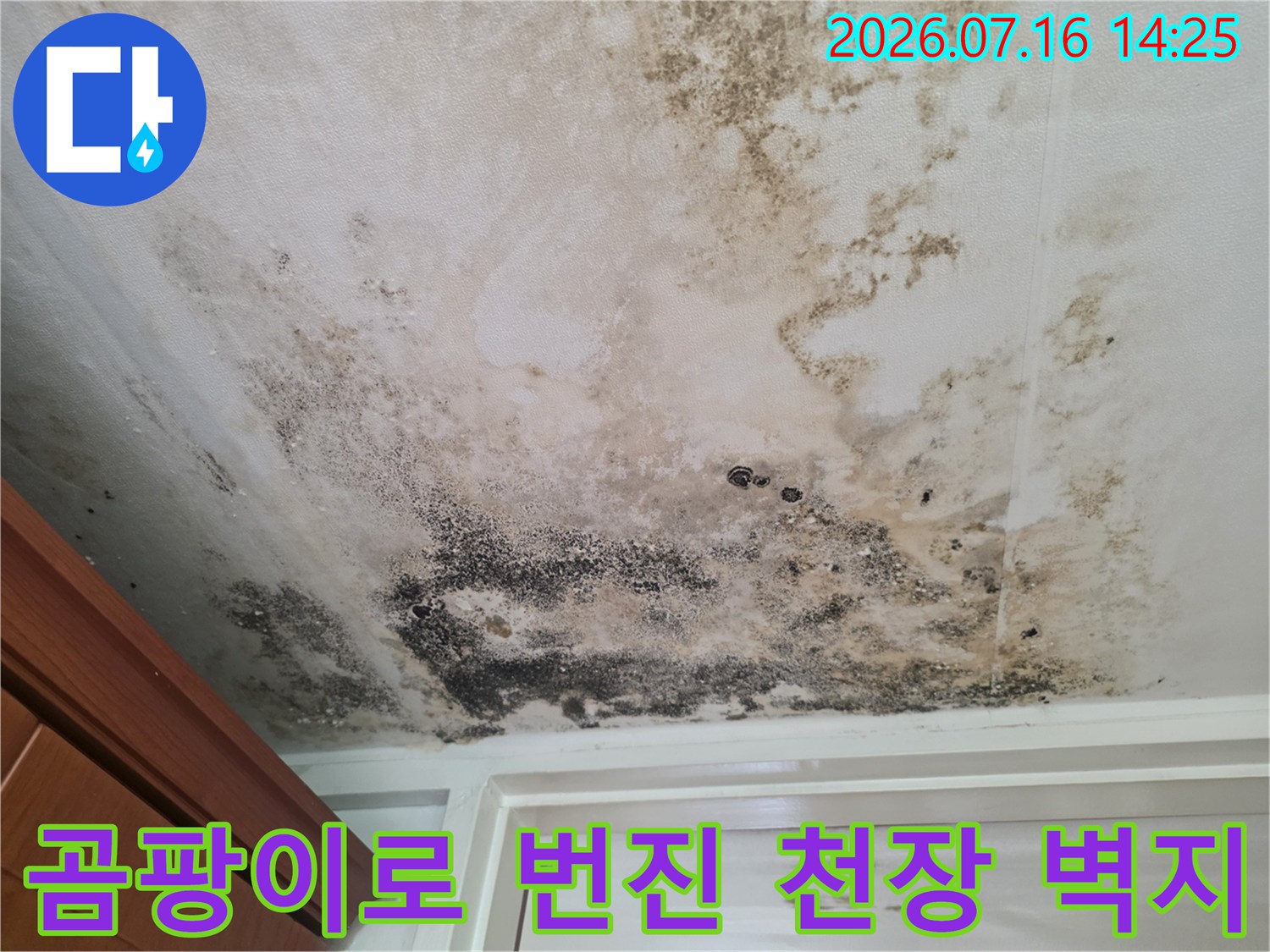 심각하게 오염된 천장 마감재와 곰팡이 발생 부위