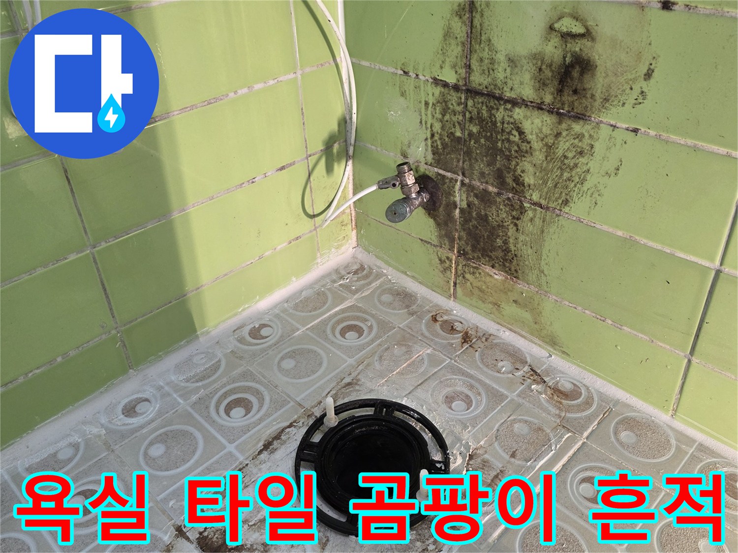 구리 욕실 타일 사이의 검은 곰팡이와 배관 주변 물샘 흔적