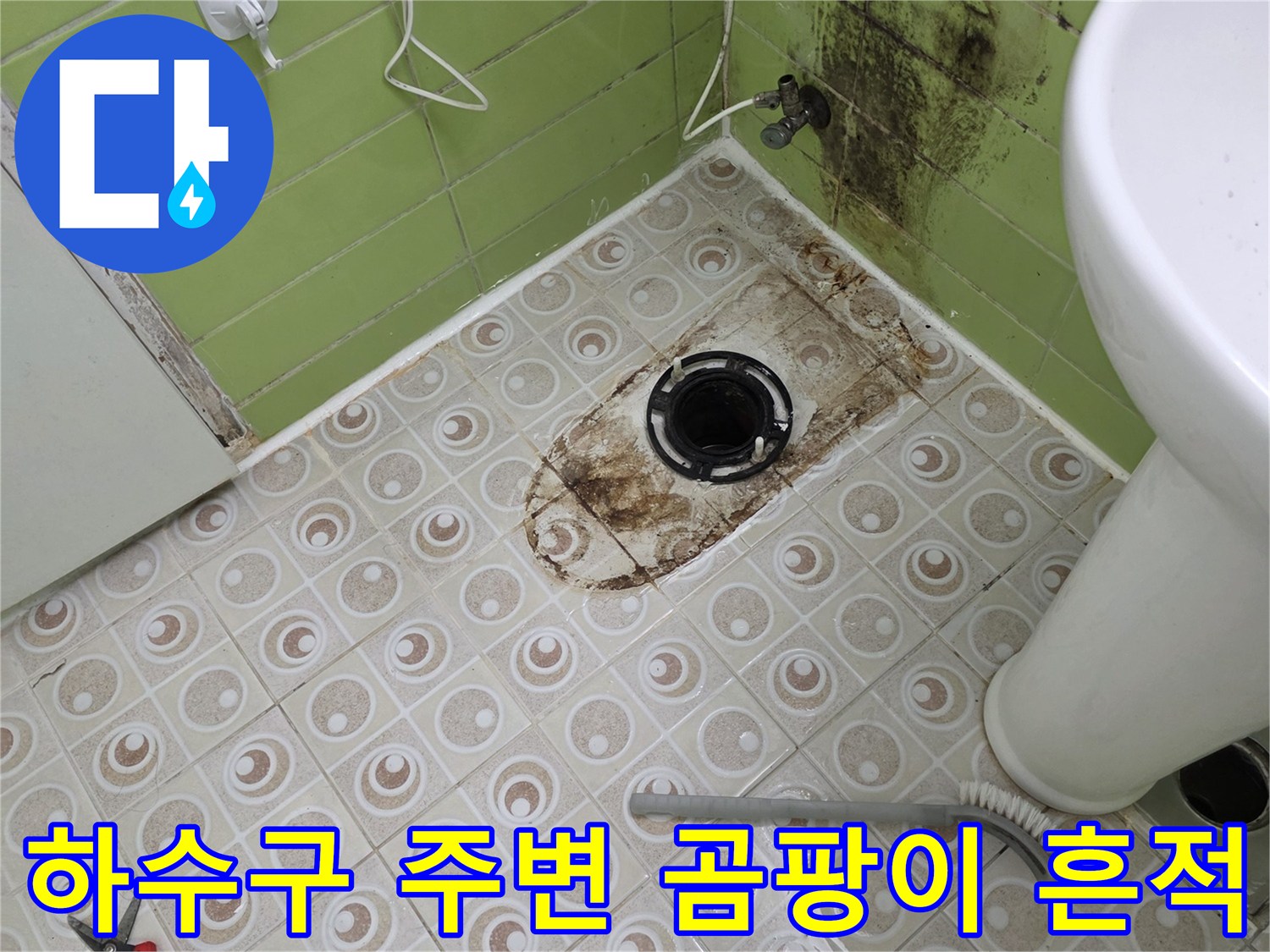 변기-배관-주위-타일-사이의-검은-곰팡이와-얼룩