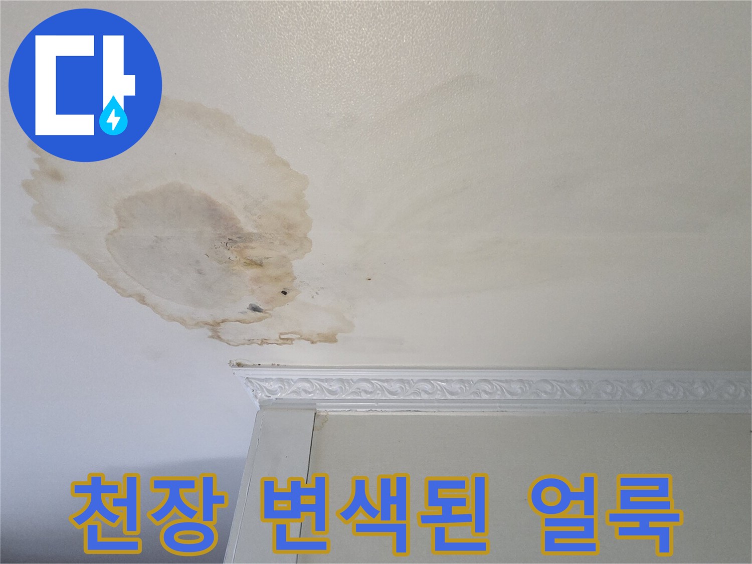 천장-마감재-표면에-나타난-습기로-인한-변색-현상