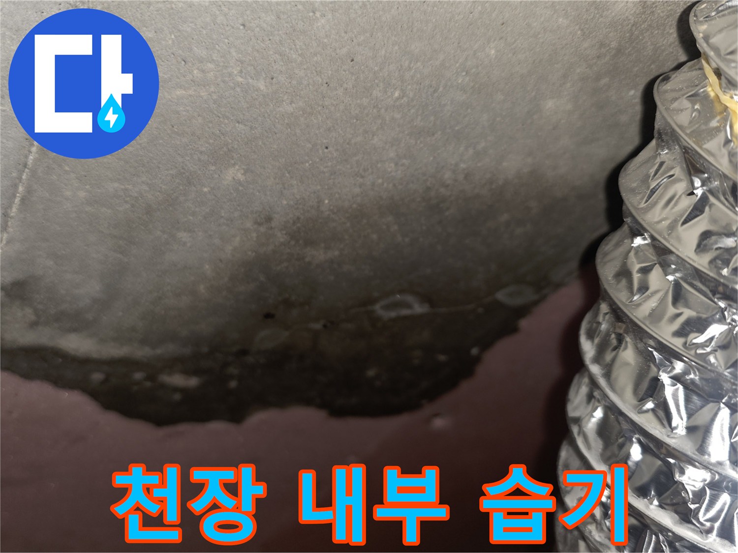 습기로-오염된-천장-슬라브-및-배관-주변