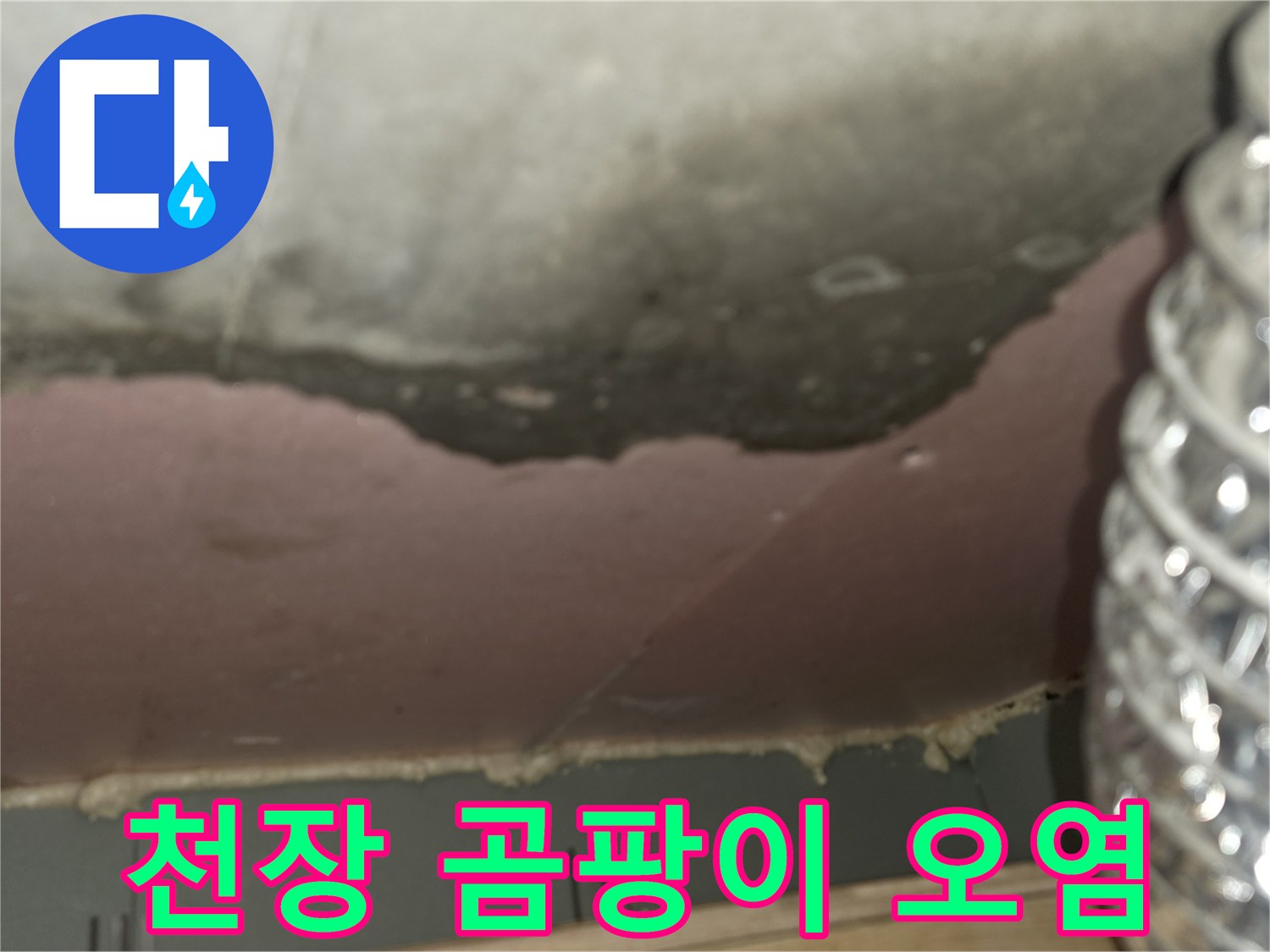 천장-내부-단열재-및-슬라브-곰팡이-오염-상태