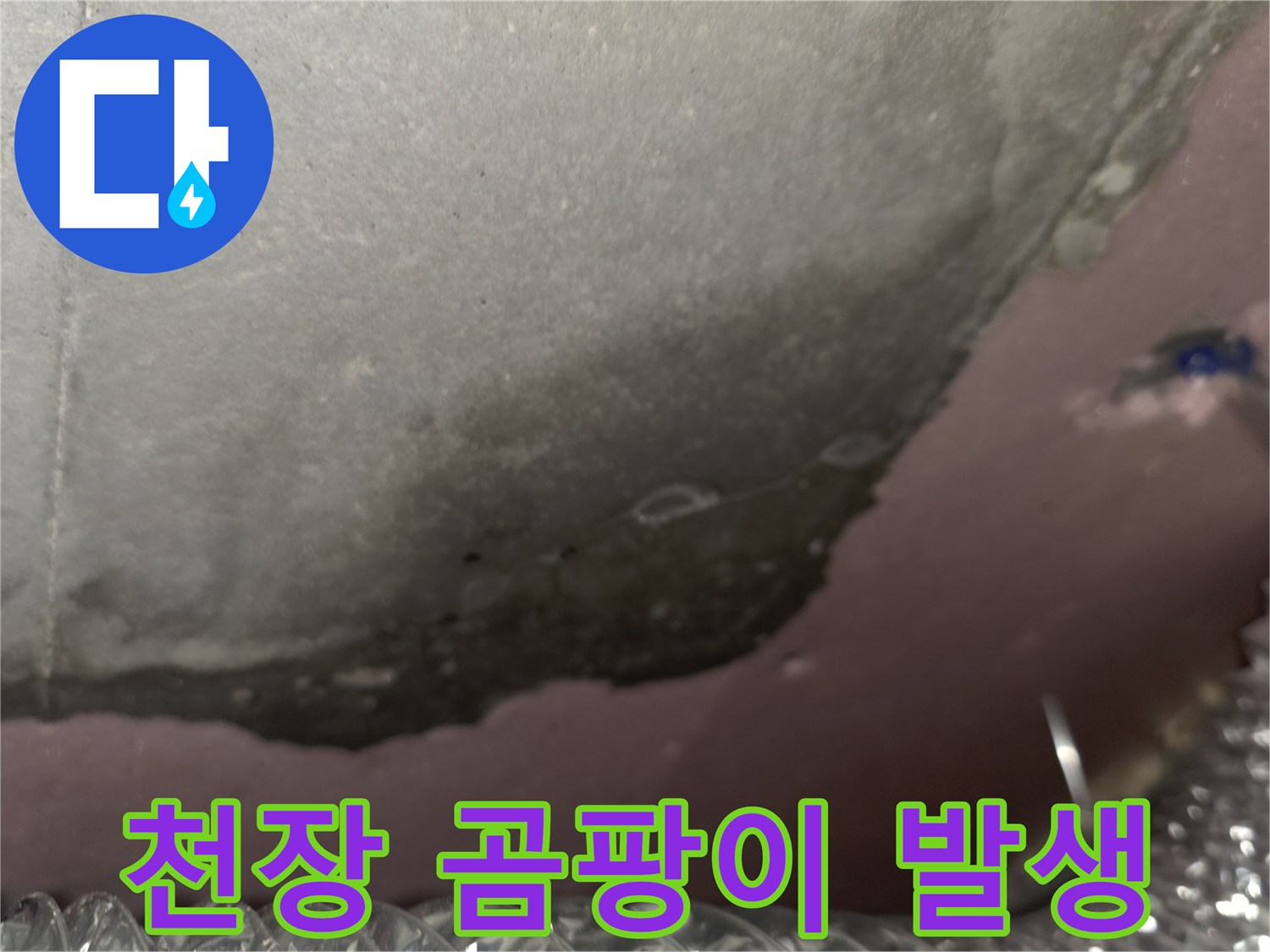 천장 내부-습기 침투로 인한 곰팡이와 슬라브 변색 현상