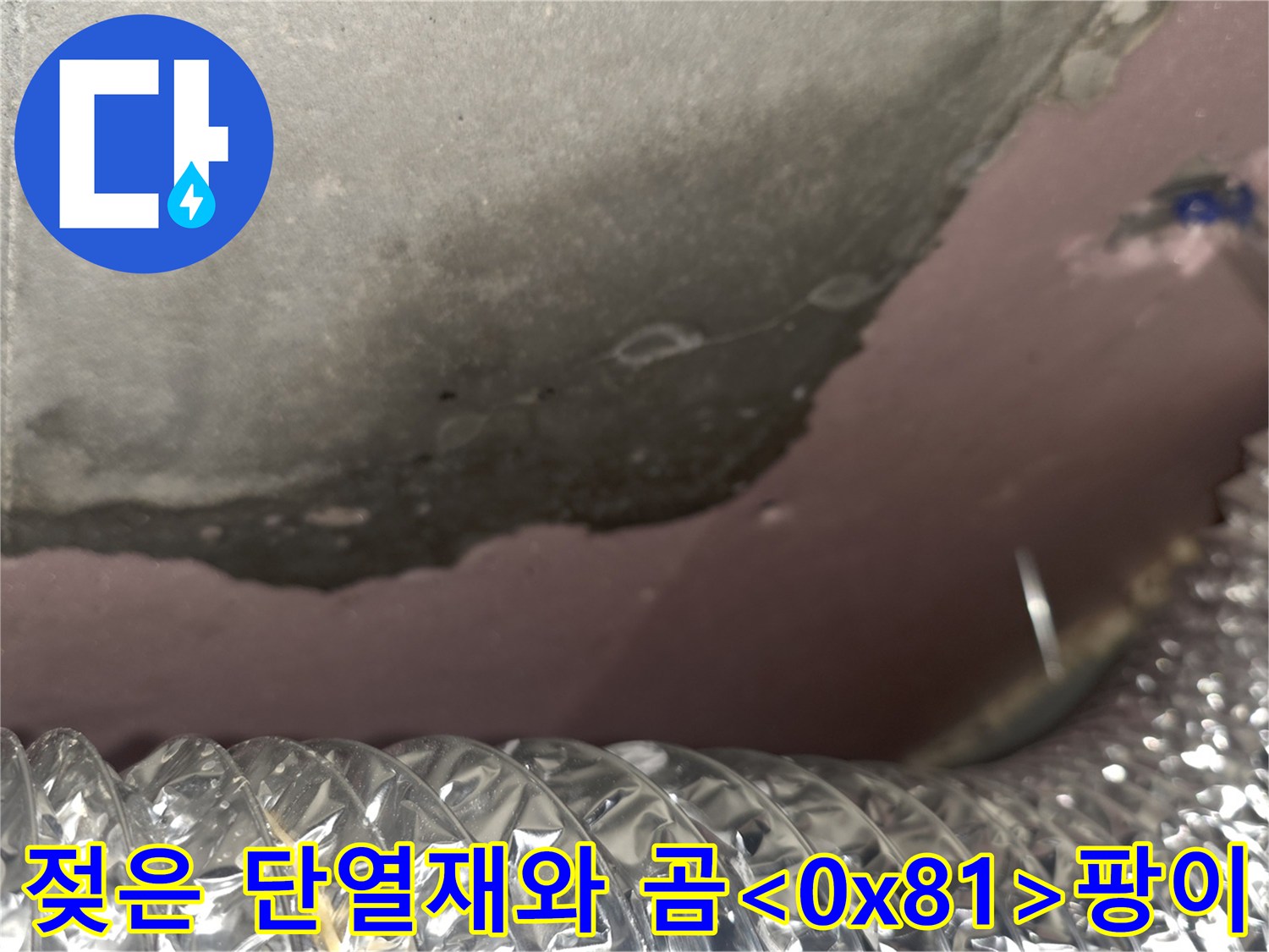 천장-단열재에-발생한-심각한-곰팡이-오염
