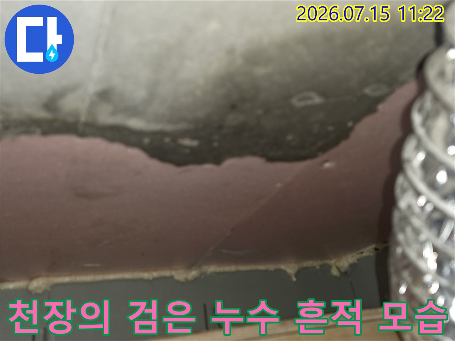 흰색 천장 바탕에 번진-검정색 곰팡이 얼룩과 은색 배관의 상세 사진