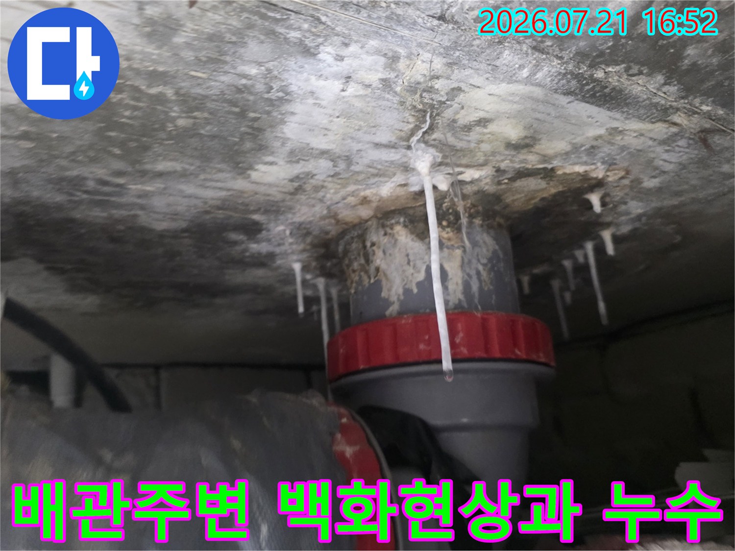 천장 배관 주변에 하얀 백화 현상이 발생하고 물이 고여있는 상태
