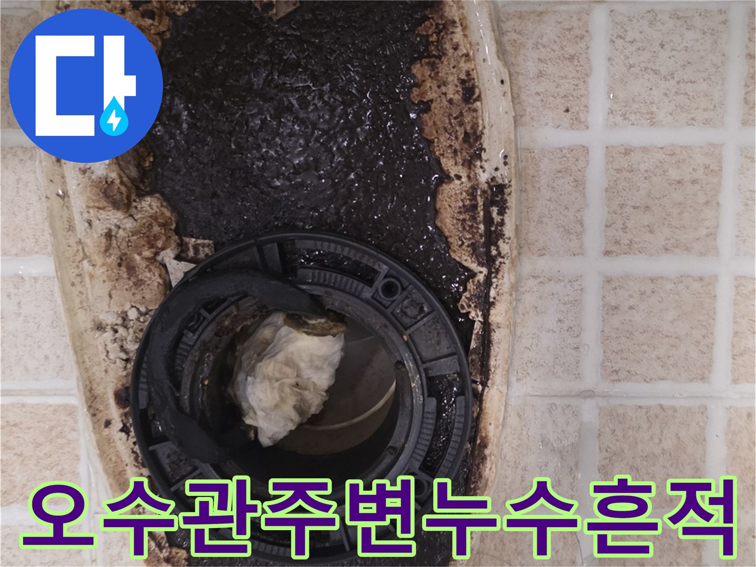 오수 배관 연결 부위 주변에 검게 변한 오염물과 젖은 타일 상태