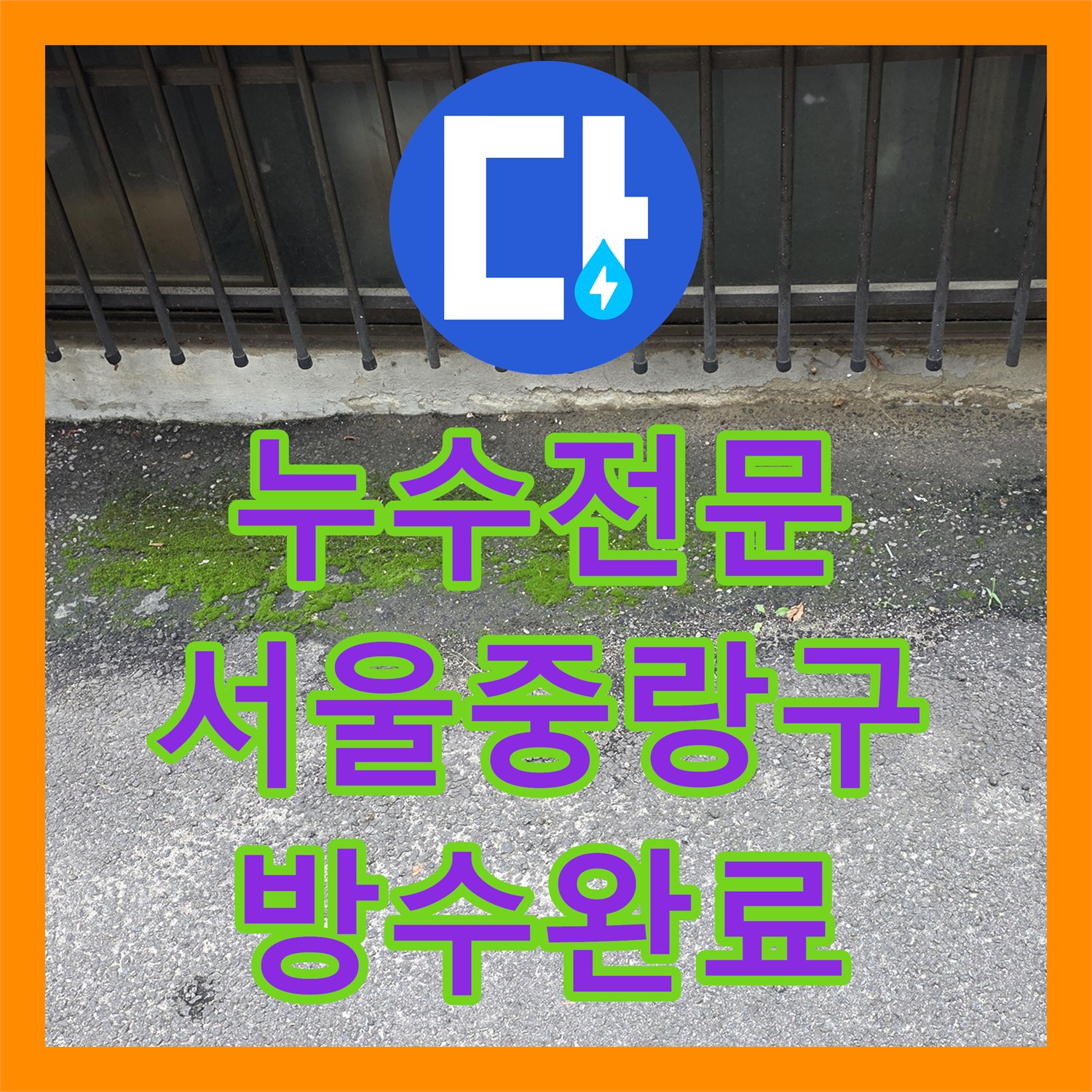 누수전문 외부 우수관 배수 문제로 발생한 지하 바닥 물샘 해결 서울 중랑구