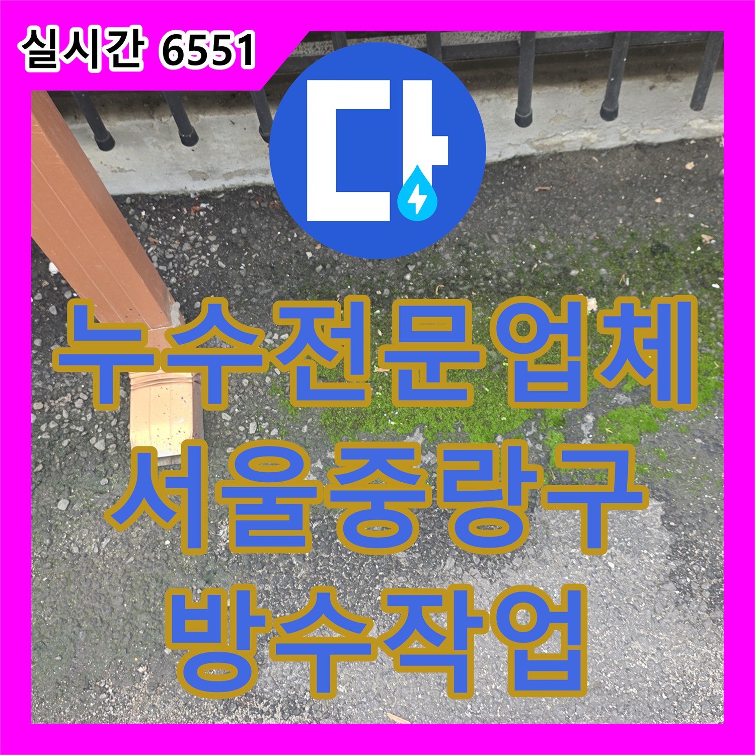 누수전문업체 외부 우수관 배수 불량으로 인한 지하 현관 바닥 누수 지점을 정밀하게 진단한 서울 중랑구 현장