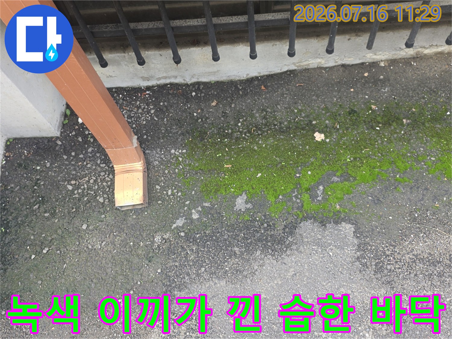 습기 때문에 이끼가 발생한 지하층 노출 배관 주변