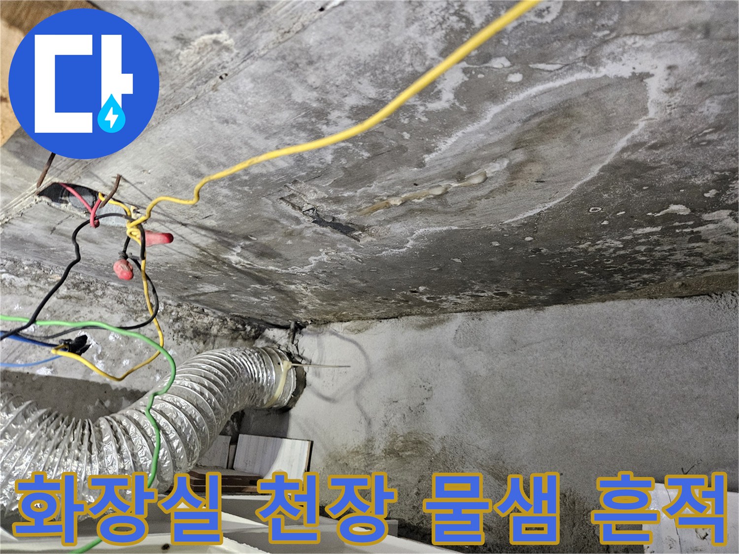 아랫집-화장실-천장에-발생한-누수-및-백화현상-사진