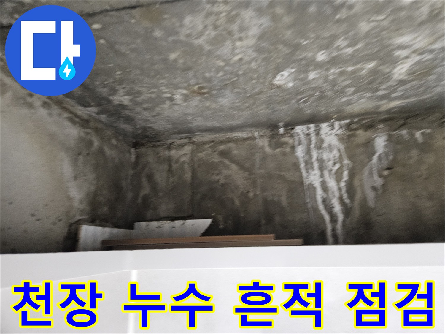 화장실 천장 콘크리트의 백화 현상 및 젖은 부위 상세 사진