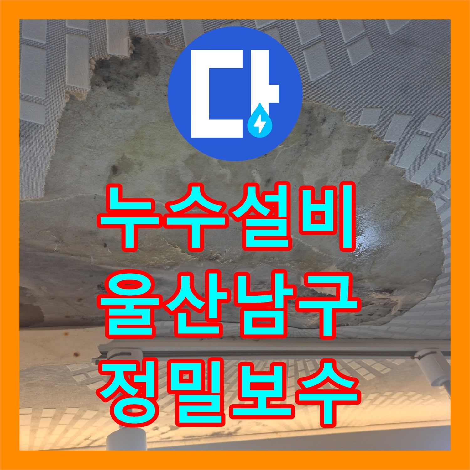 누수설비 타 업체가 포기한 주방 천장 물샘 지점을 찾아낸 울산 남구 옥동