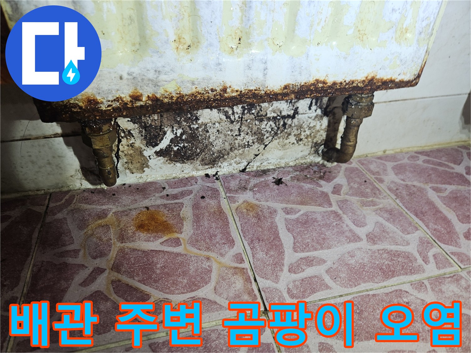다용도실 하수관-부식된 배관과 벽면의 곰팡이 발생 상태