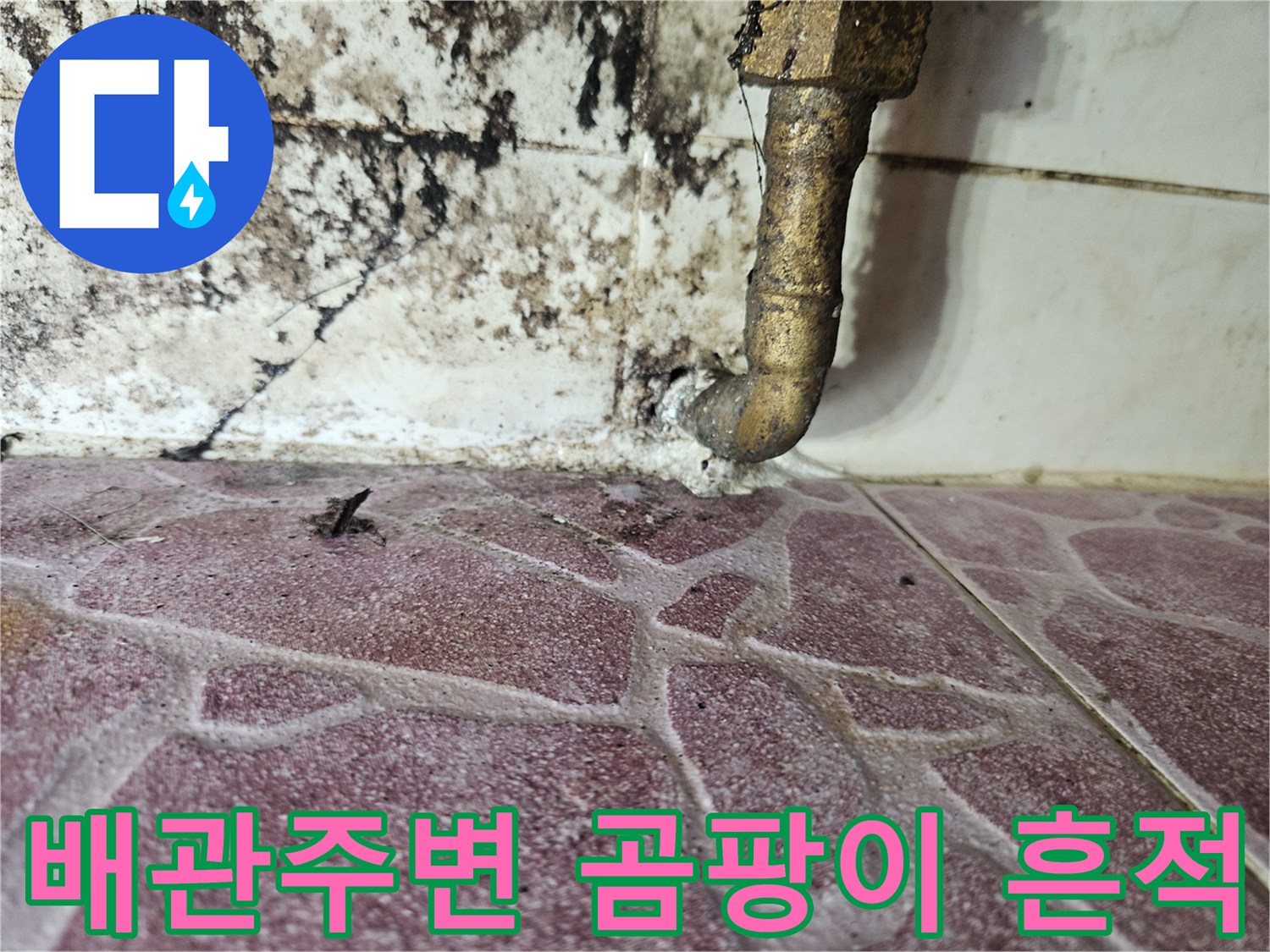 도봉구 다용도실-배관 주변의 검은 곰팡이와 습기 상태를 보여주는 사진