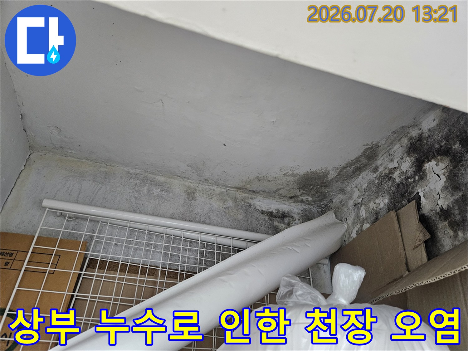 배관 인근 벽면에 발생한 곰팡이와 변색된 마감재 상태