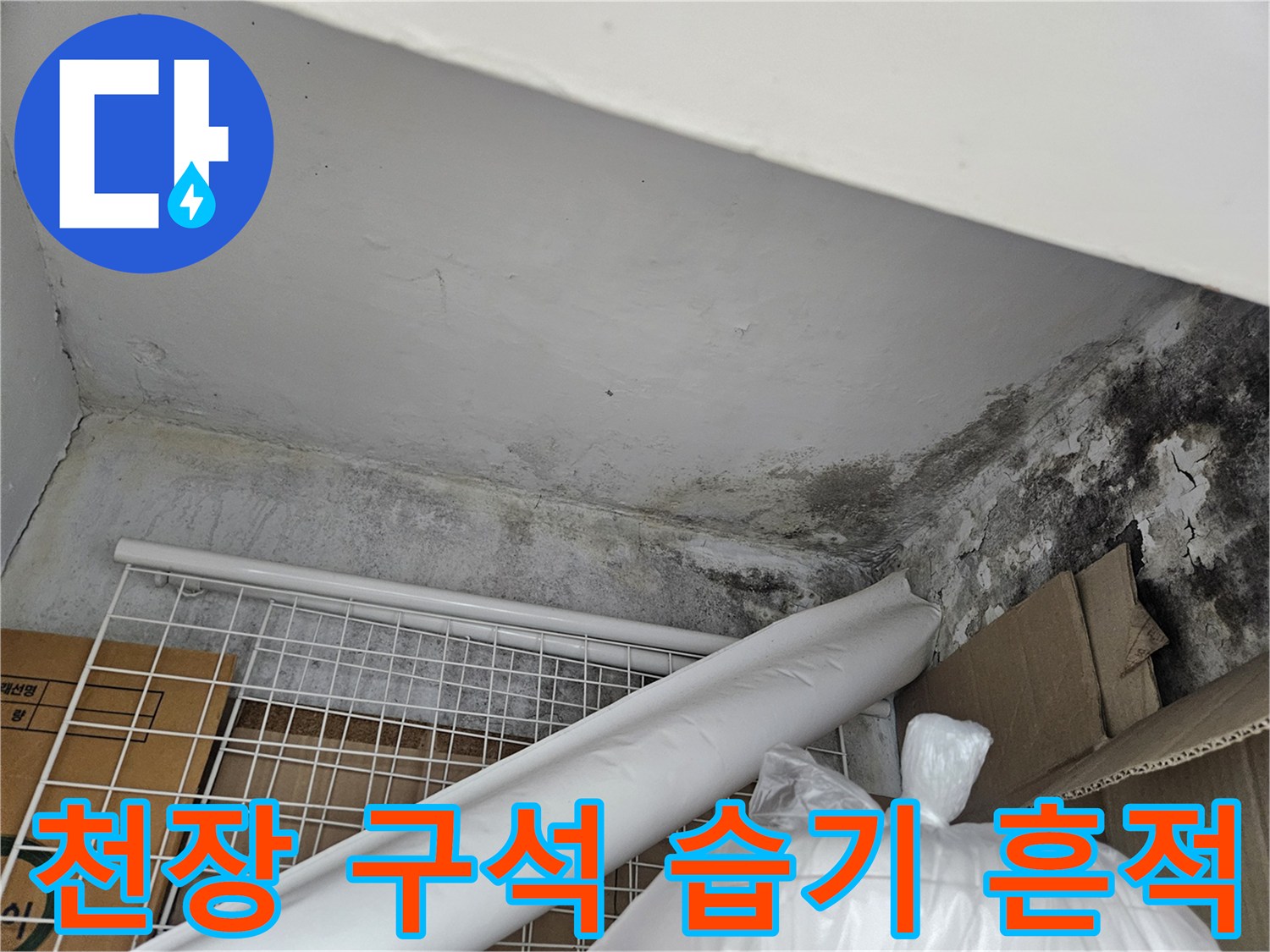 아파트 천장 모서리-물샘으로 인한 곰팡이 발생