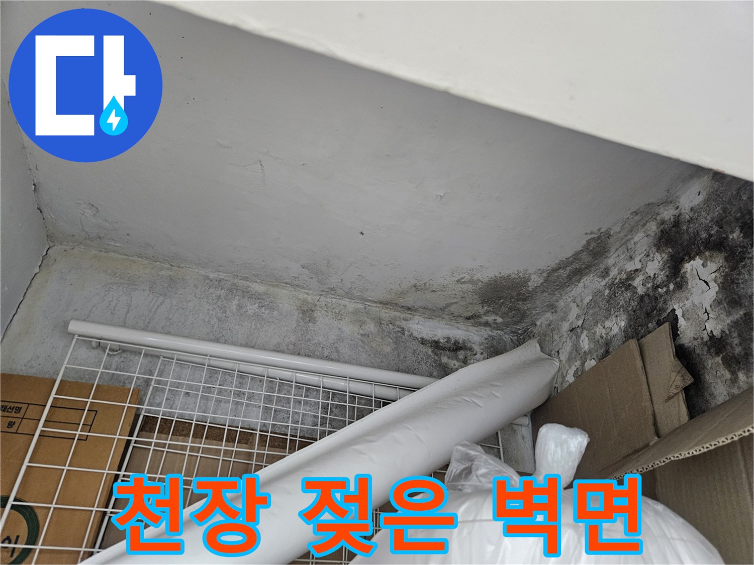 오염된 천장-곰팡이가 번진 천장과 벽의 경계