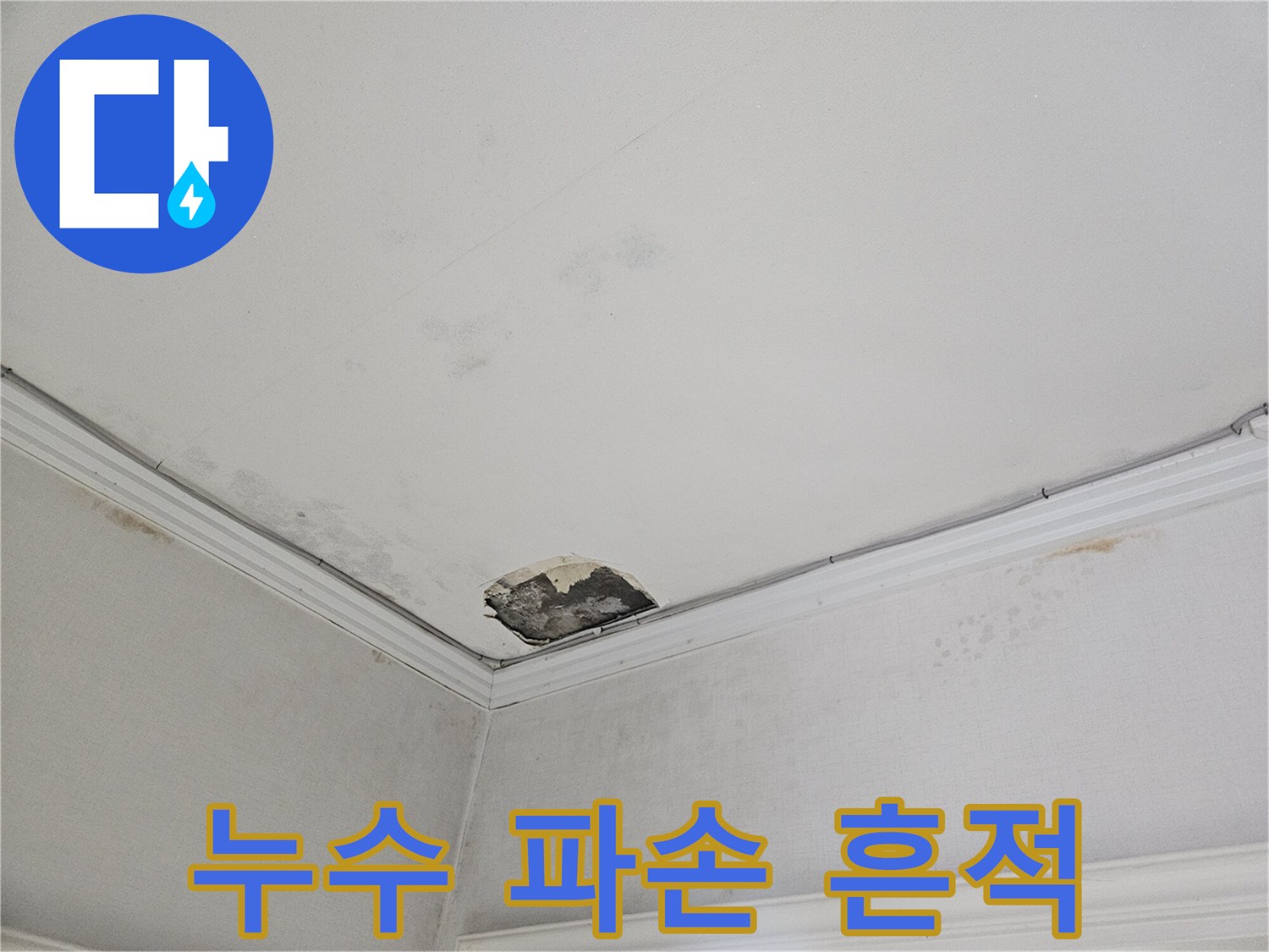 천장-구석의-물샘으로-파손된-석고보드-상태