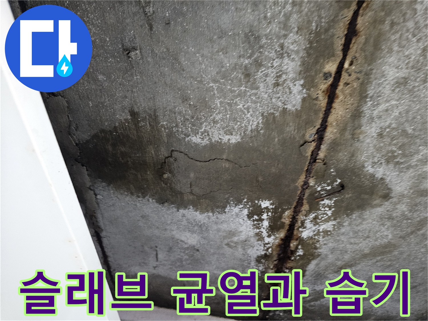 습기에-젖은-콘크리트-균열-상태-사진