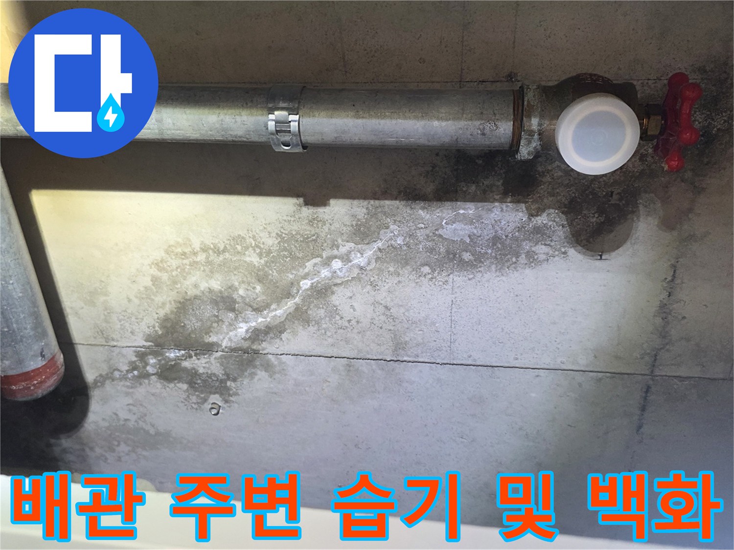천장 배관 아래 콘크리트 표면의 젖은 얼룩과 하얀 가루