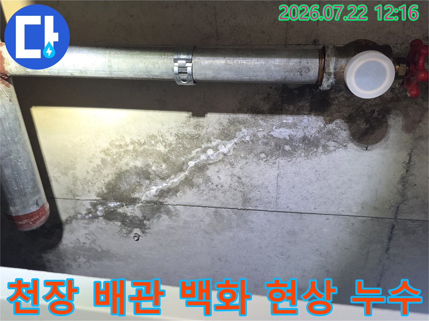 콘크리트 천장에서 배관을 타고 흐른 물자국과 하얀 백화 현상이 보이는 모습