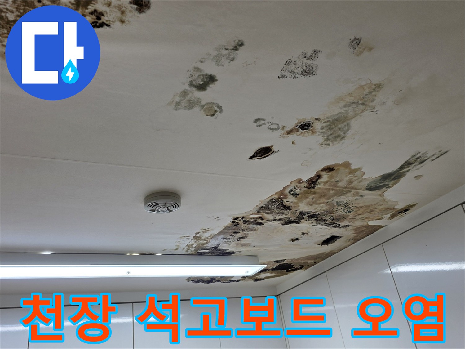 곰팡이가-번진-천장-마감재-상태