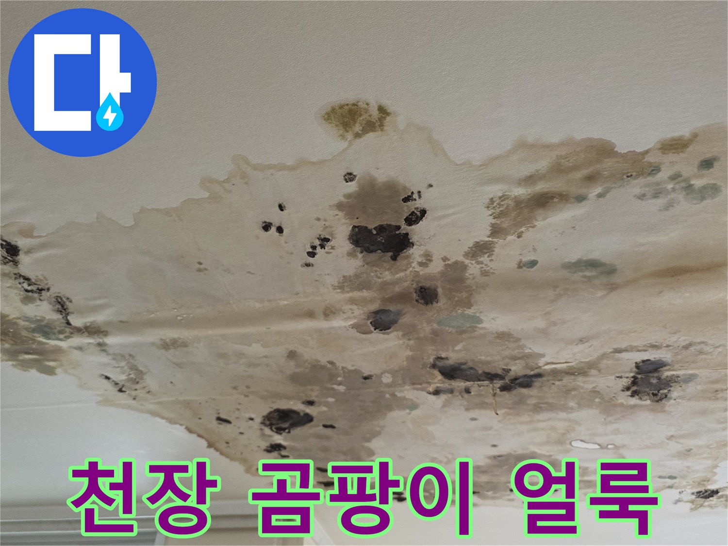 누수-피해로-얼룩지고-곰팡이가-핀-천장-상태