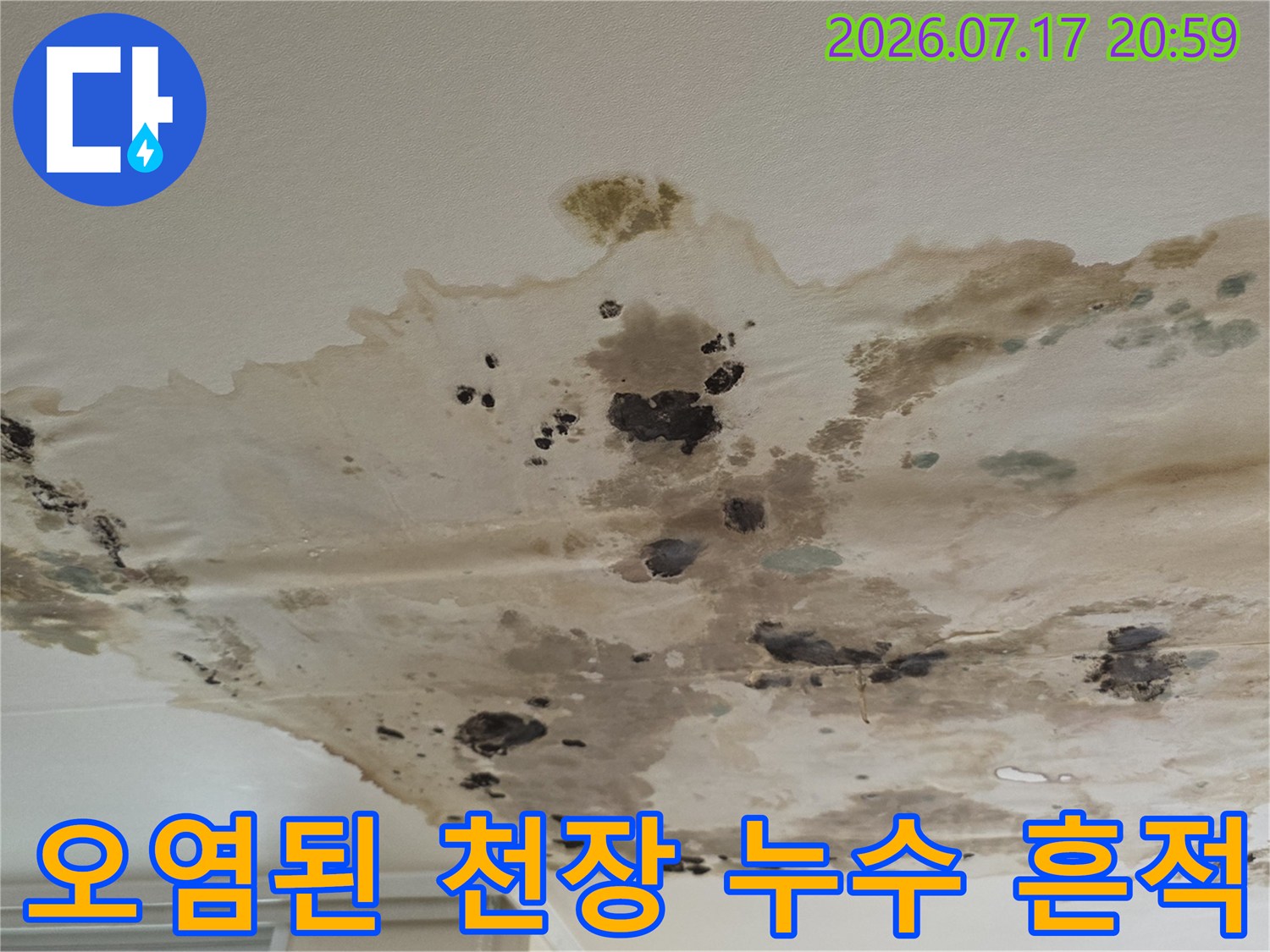 물샘 현상으로 인해 변색되고 곰팡이가 생긴 천장