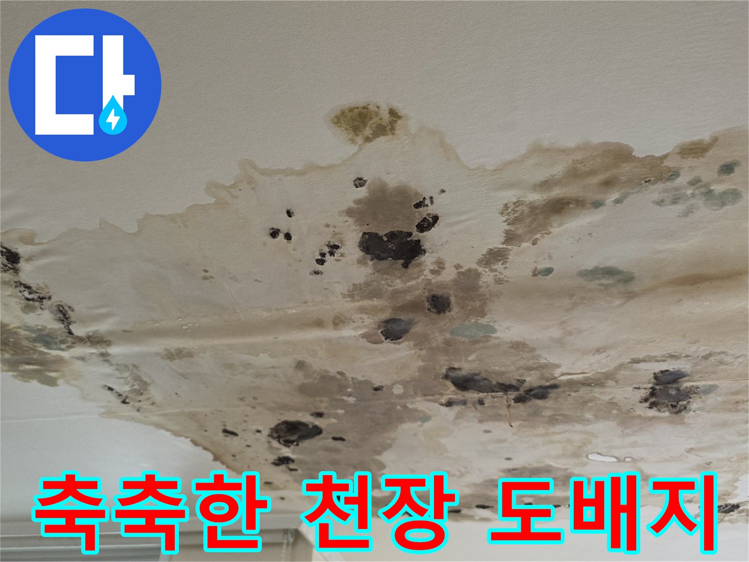 물에-젖어-변색된-천장-도배지와-곰팡이-발생