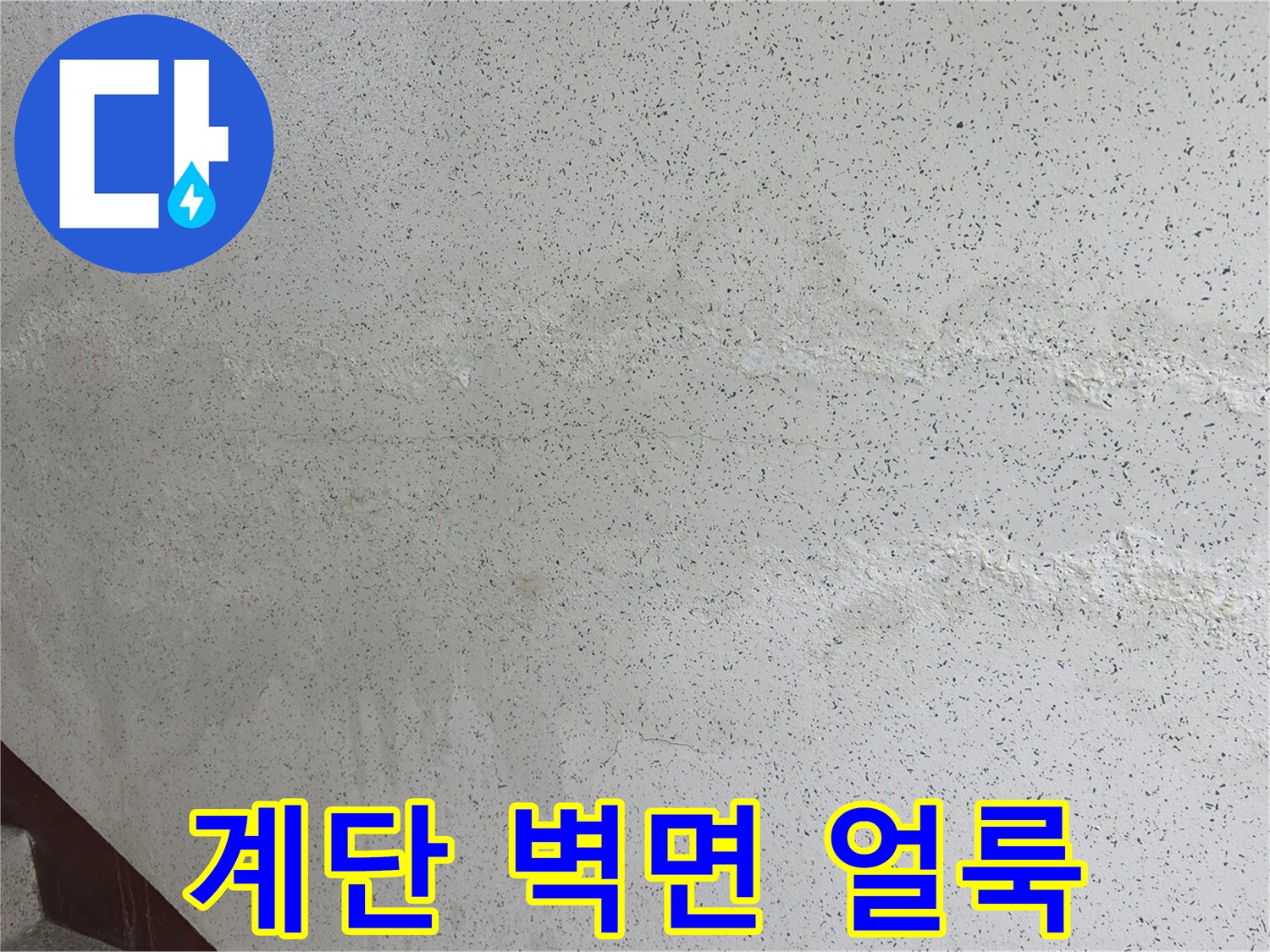 송파구 아파트 계단 벽면에 발생한 물샘 흔적과 얼룩 상태