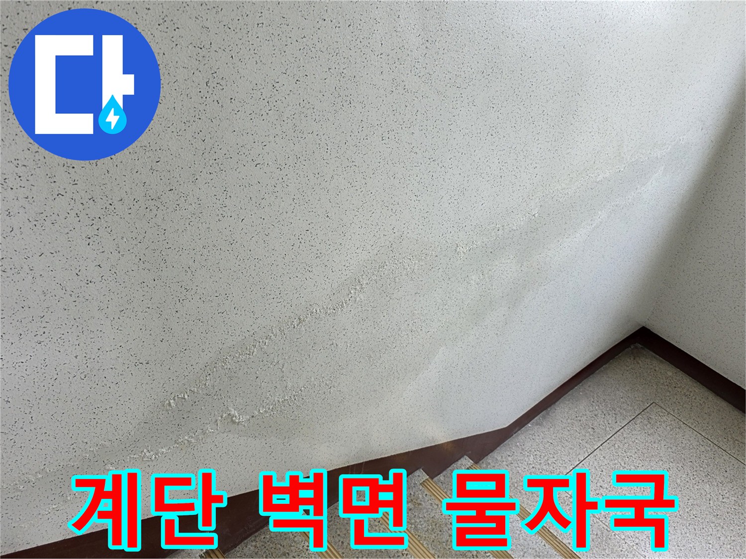 송파구 아파트 계단 벽면의 누수 흔적과 얼룩 상태