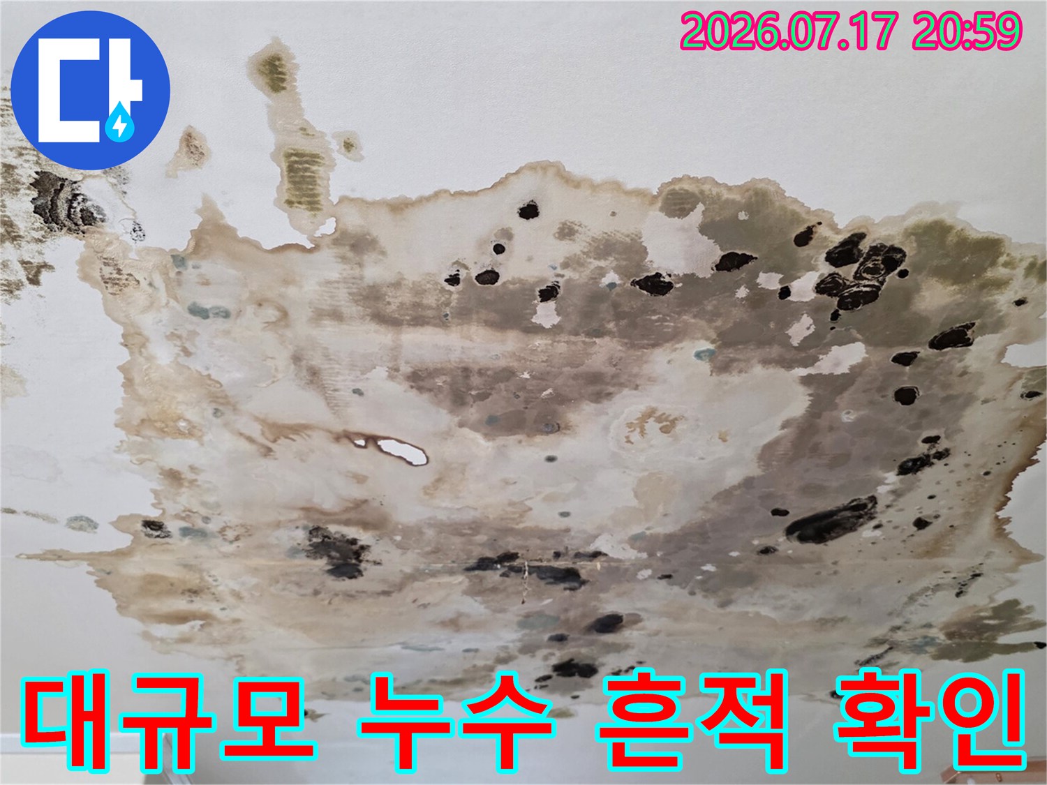 윗집 배수 및 급수 계통 문제로 인해 아래층 천장이 심하게 오염된 모습