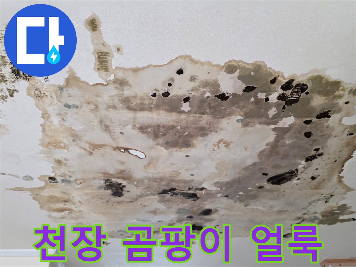 천장-석고보드-곰팡이-및-누수-흔적