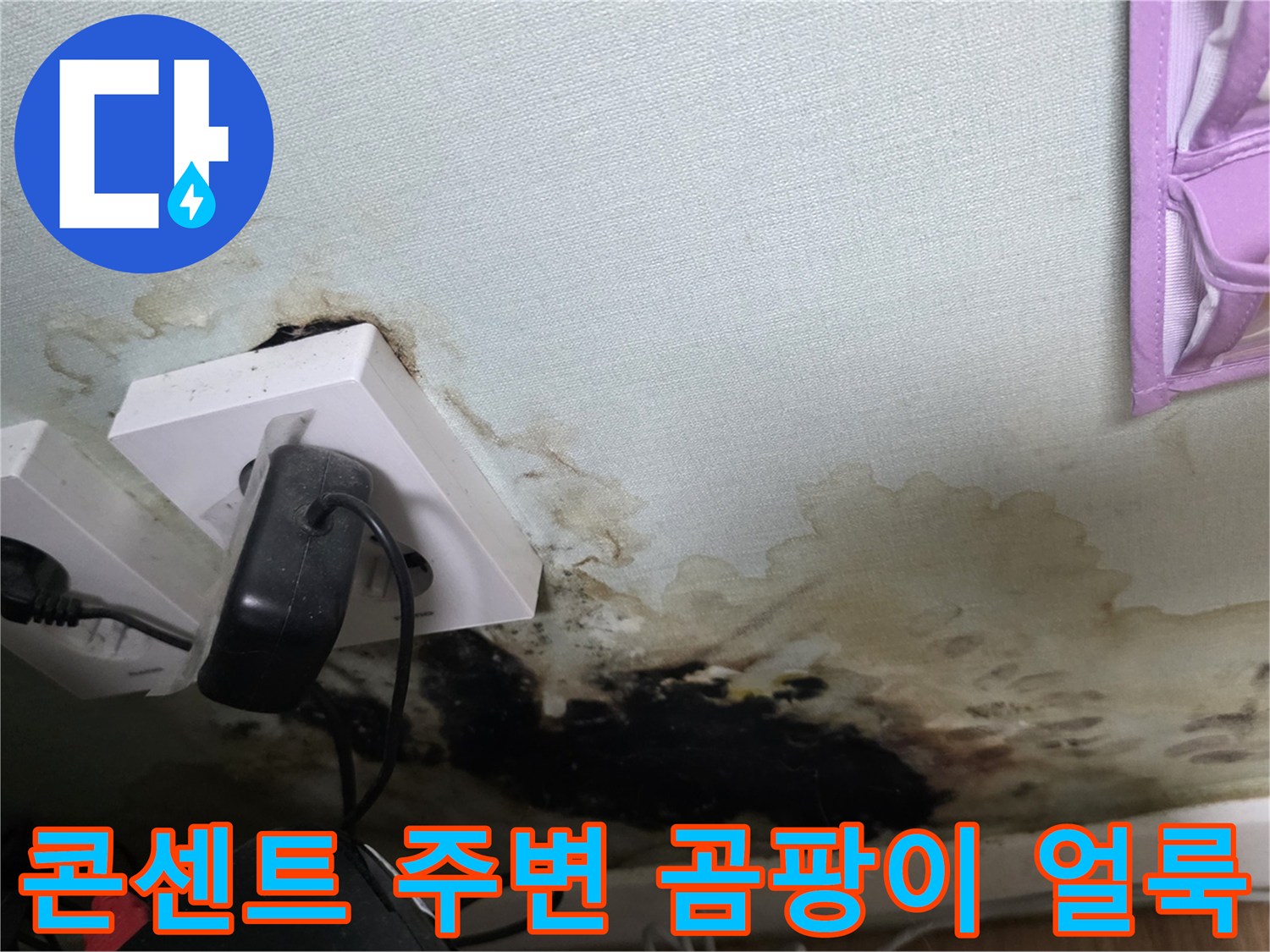은평구 응암동 현장의-콘센트 주변에 발생한 심각한 곰팡이와 습기 흔적