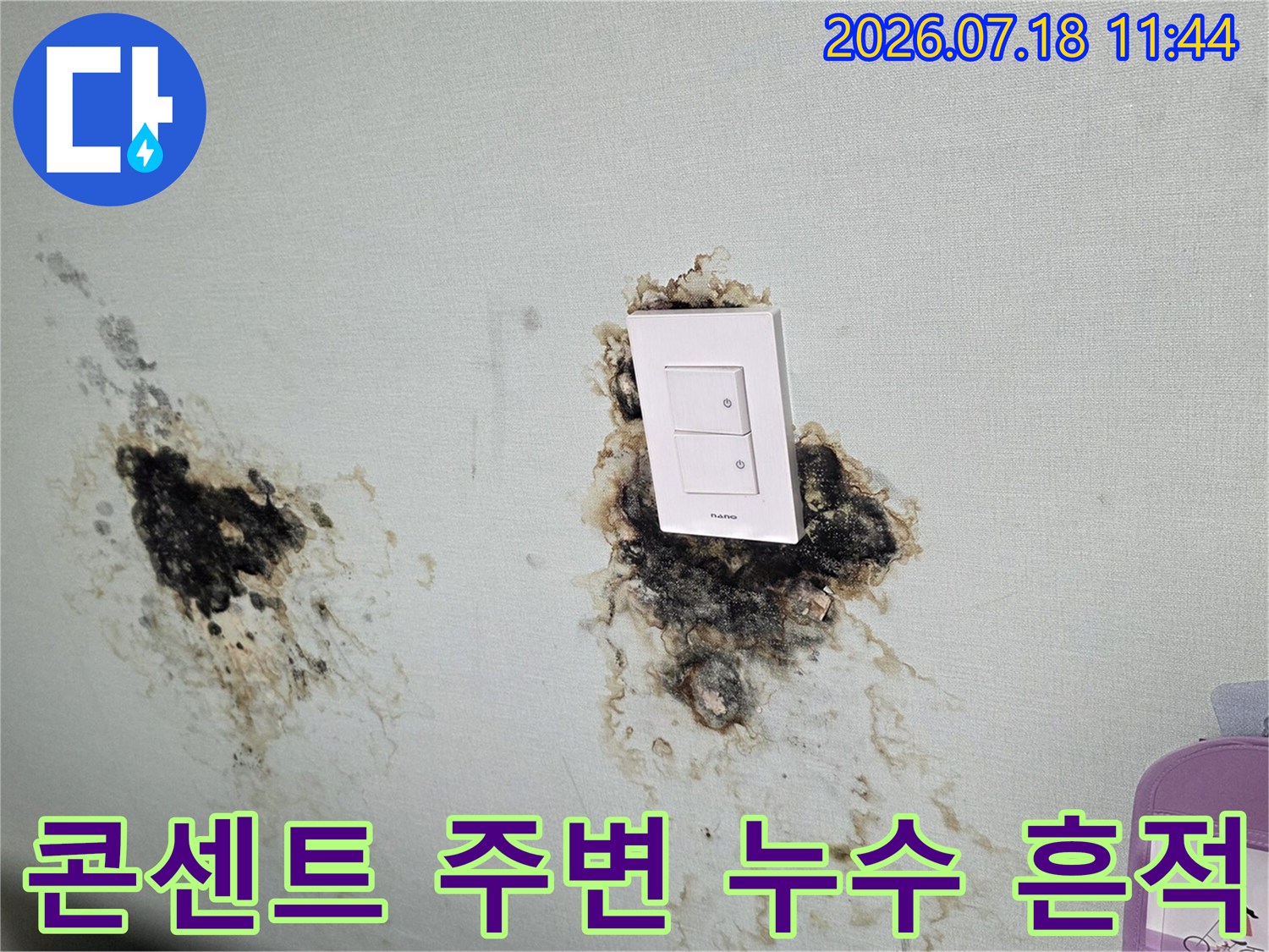 콘센트 주변에 발생한 검은색 곰팡이와 습기 피해 상황