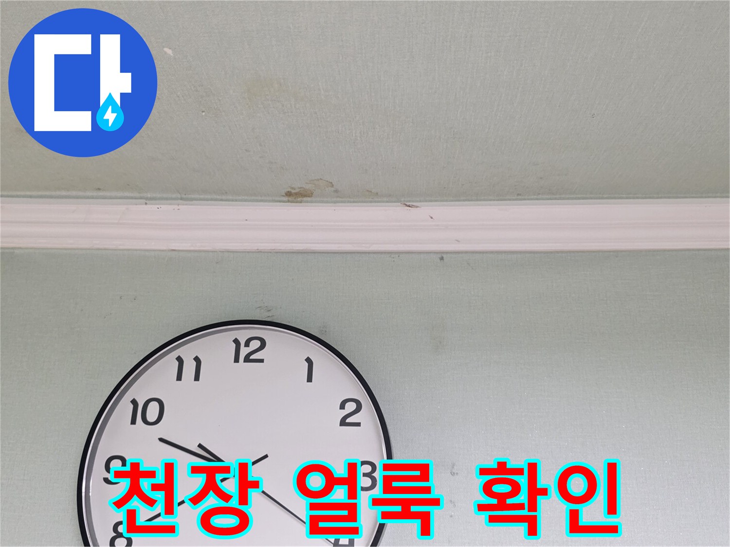 화장실 입구 천장 벽면의 물샘 흔적과 얼룩 상태