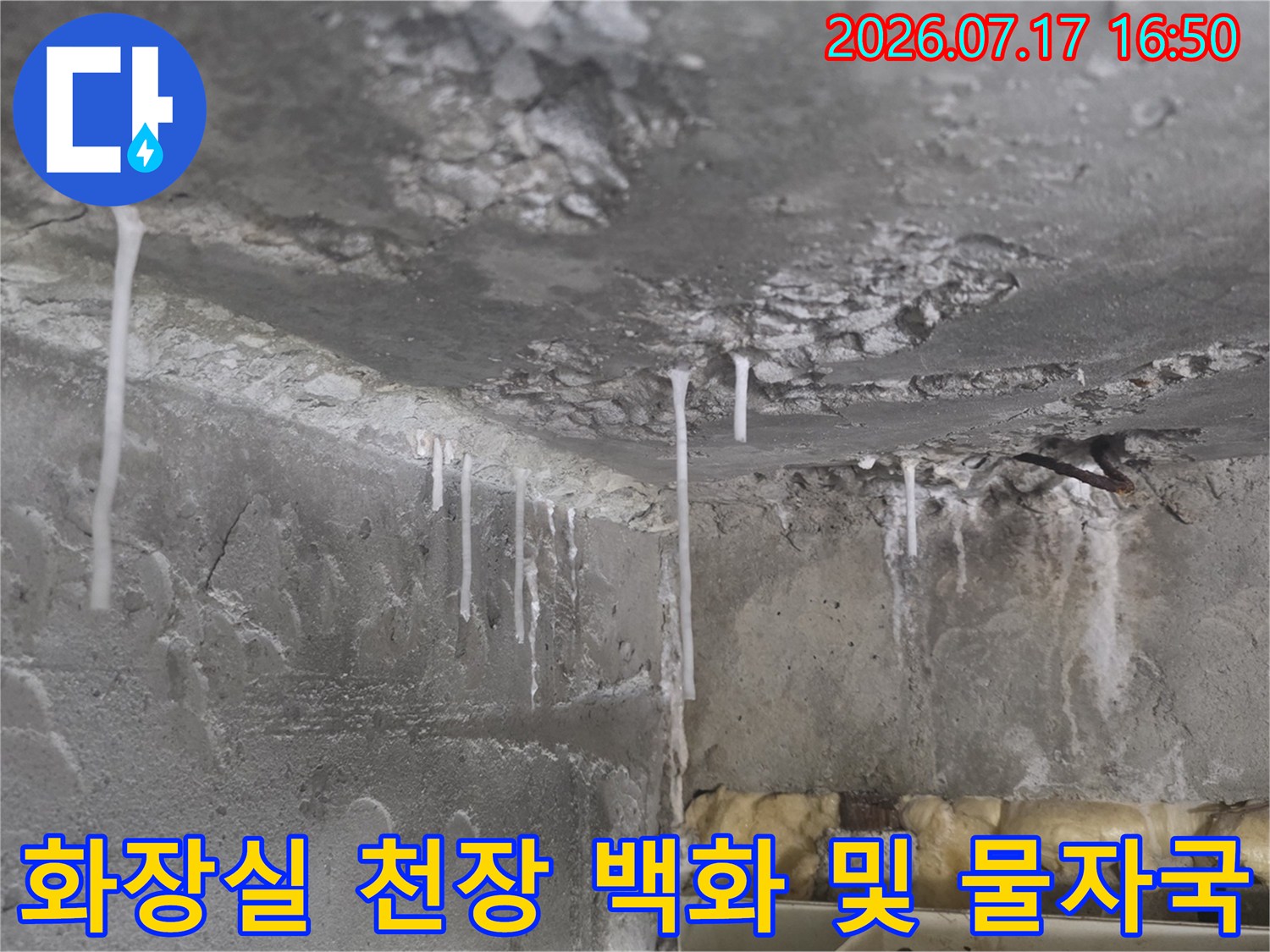 천장 콘크리트 표면이 젖어 있고 하얀 석회 물질이 길게 늘어져 있는 모습