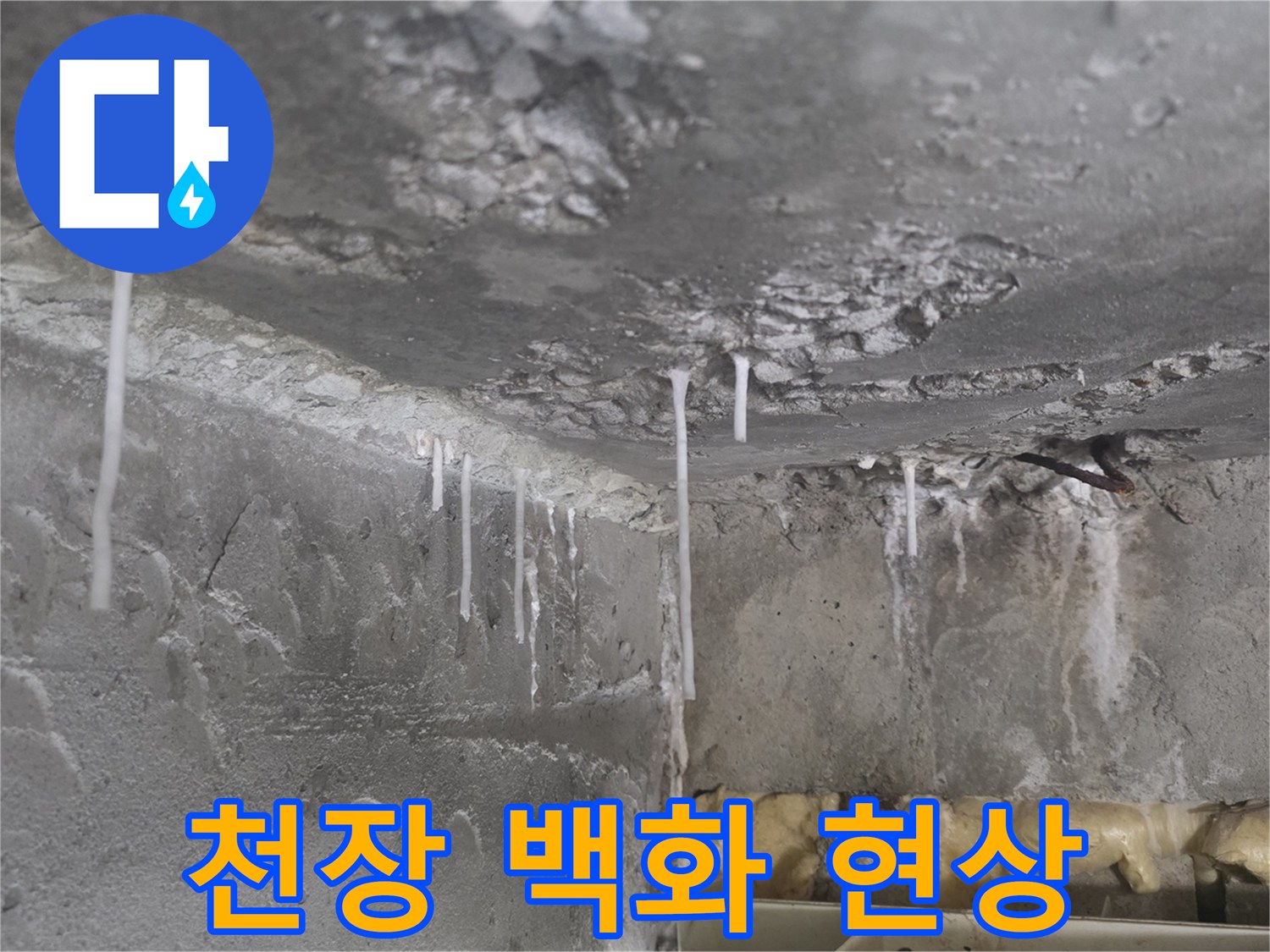 화장실-천장-콘크리트-슬라브-석회물-고드름-현상