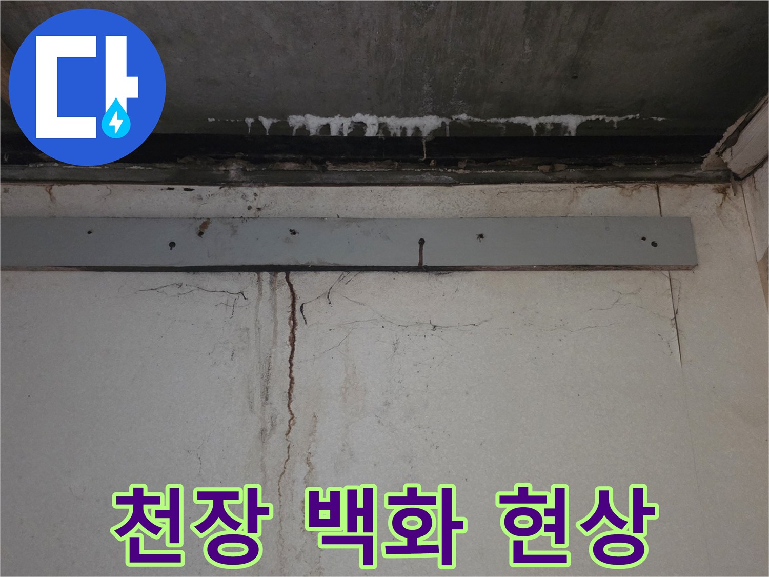 화장실 천장 콘크리트 슬라브에 나타난 하얀색 백화 현상과 석회물 자국