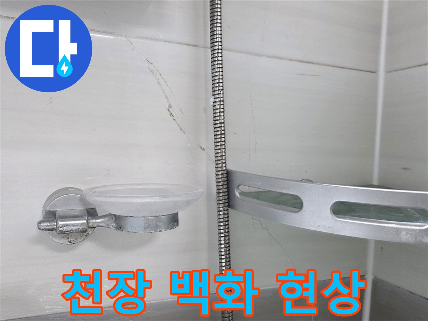 화장실-천장-타일-사이-석회물-백화-현상