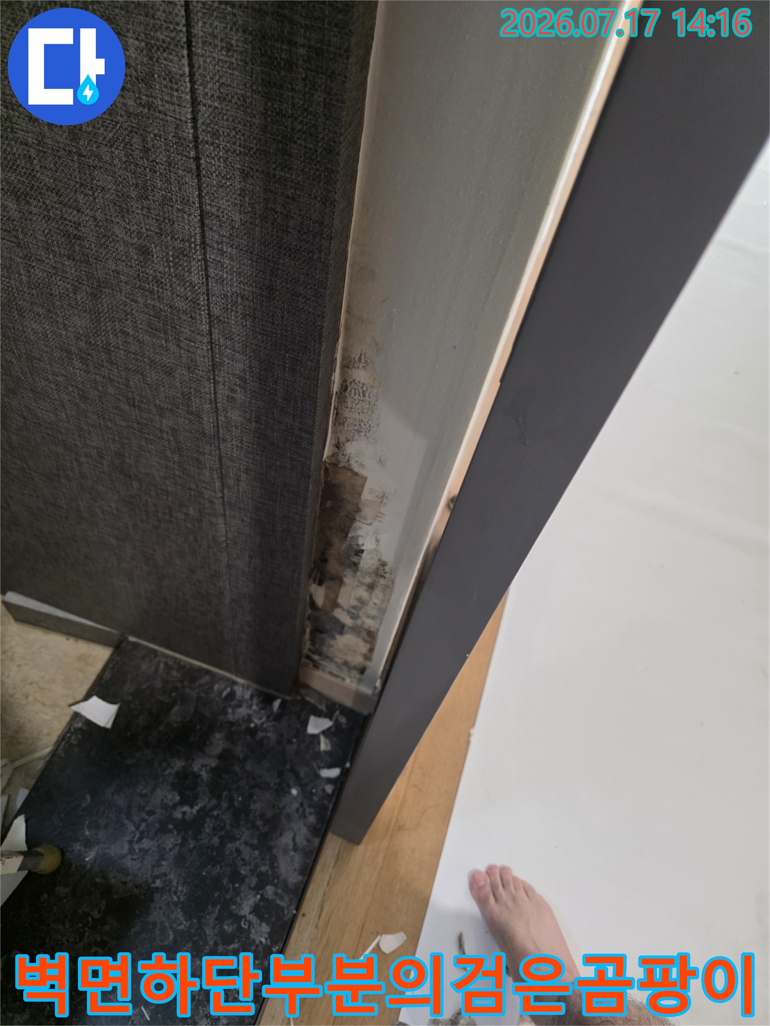 가구 옆 벽면에 검게 변색된 곰팡이와 습기로 인해 손상된 벽지 모습