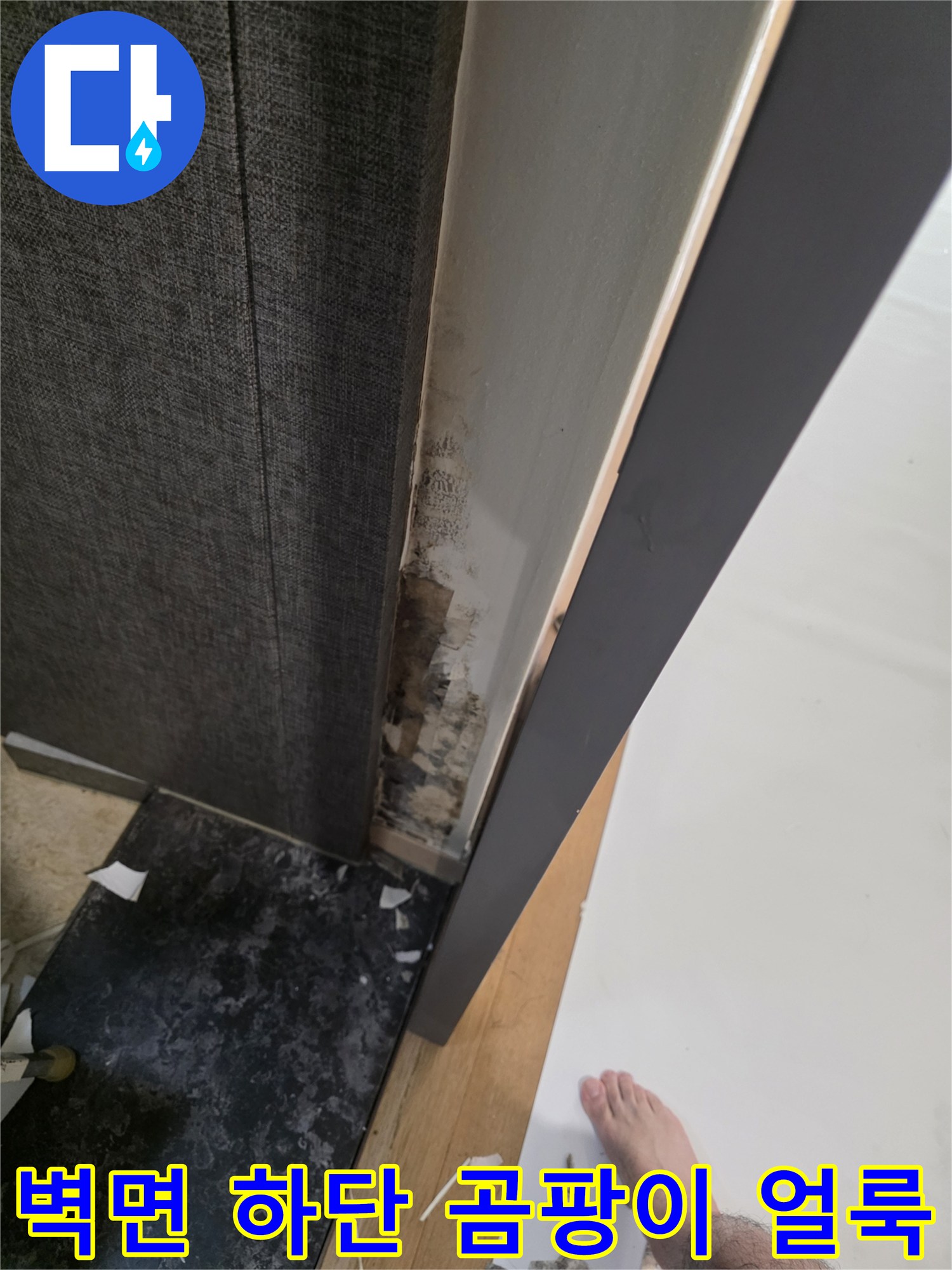 거실 벽면 마감재 주변-습기와 곰팡이로 인해 오염된 벽지 상태